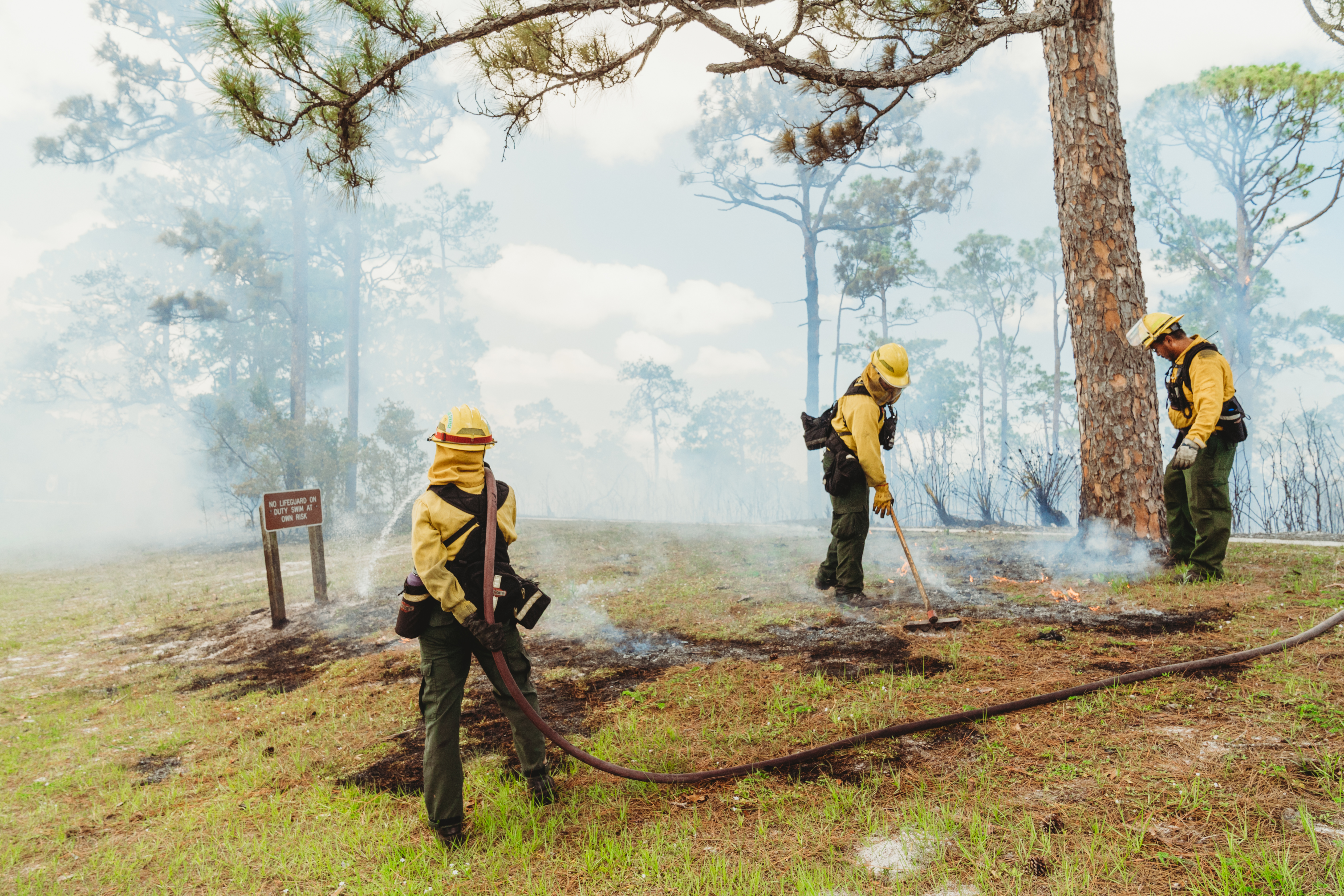 A prescribed fire in Jonathan Dickinson State Park. 