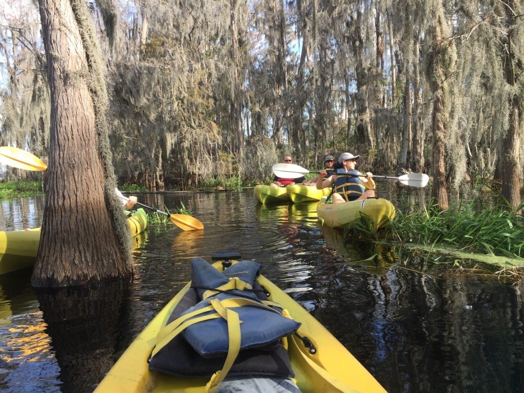 Kayak tour at Lake Louisa