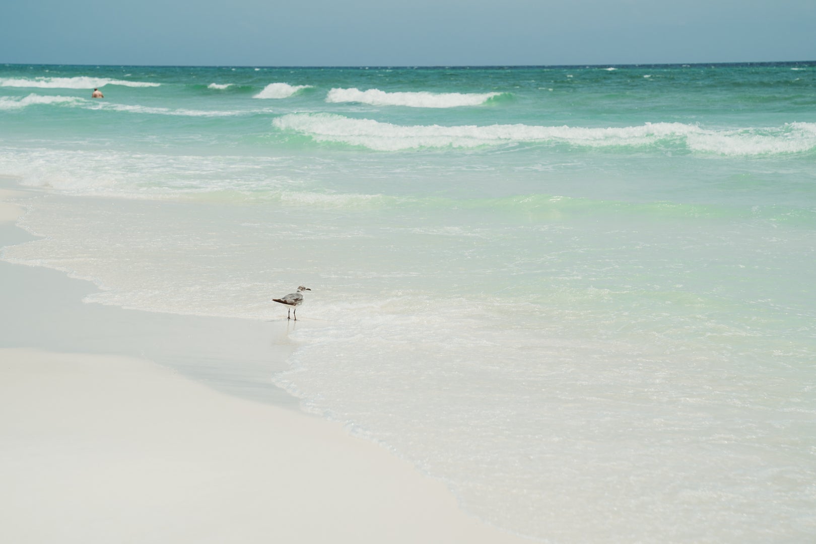 Grayton Beach Ocean View