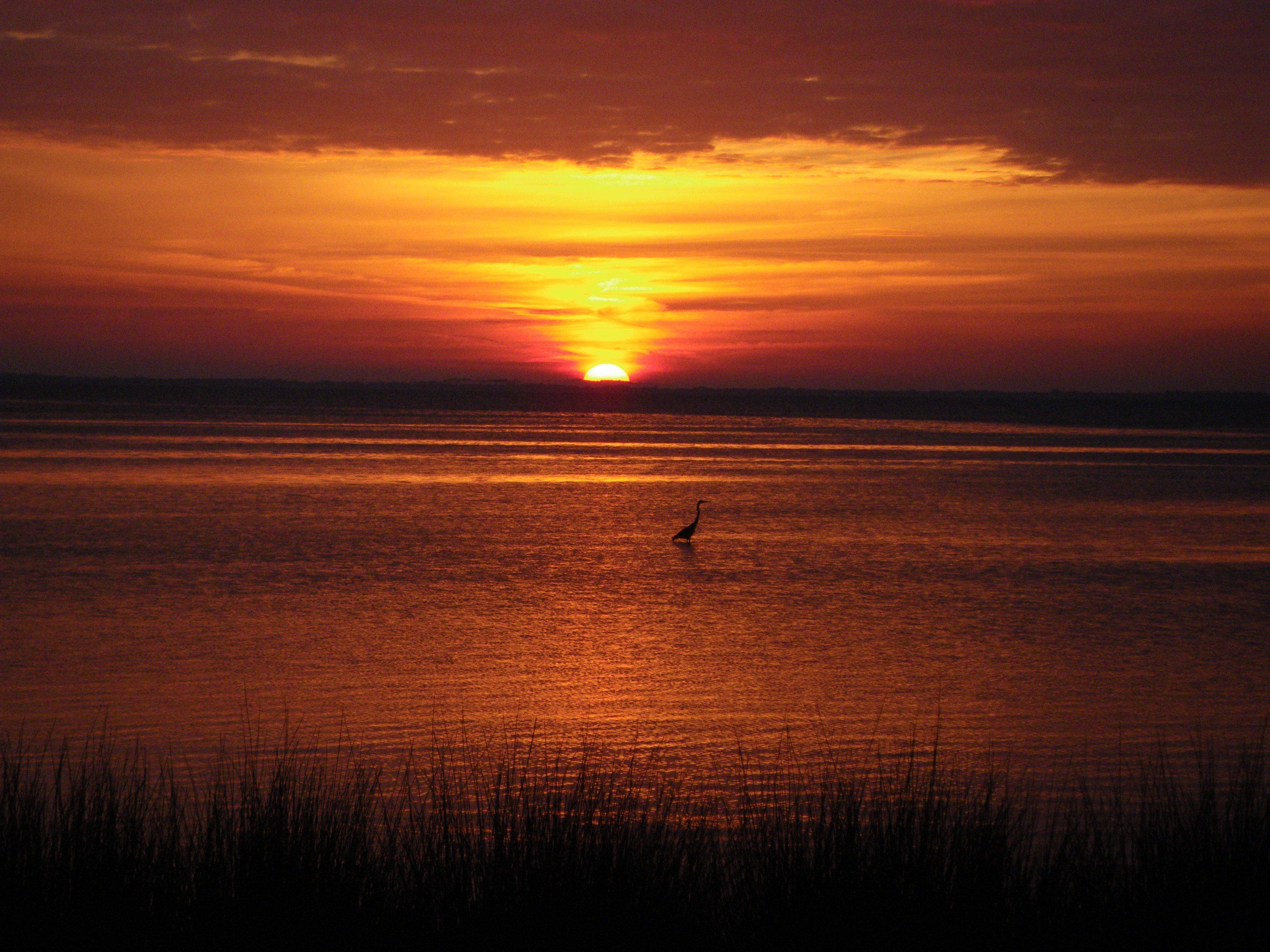 A sunset in Constitution Convention Museum State Park. 