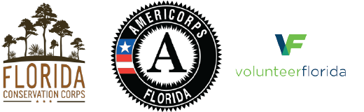 Ameri Corps Logos