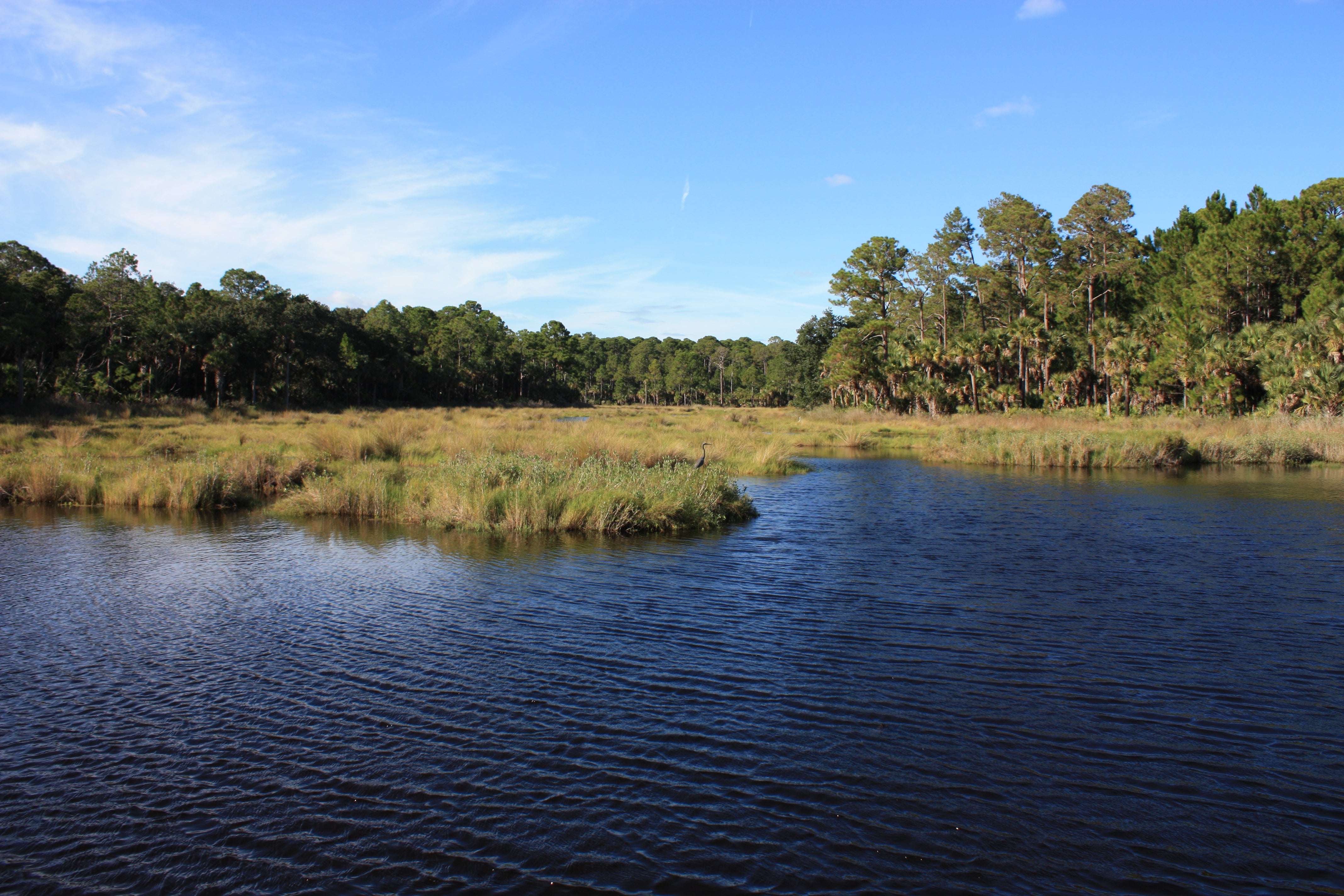 Bulow Creek - cedar creek footbridge