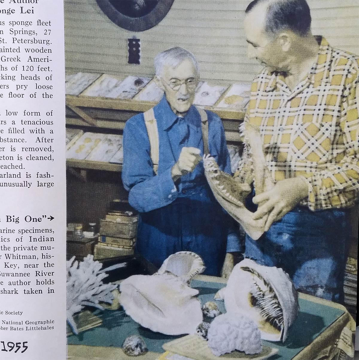St Clair Whitman showing his collection featured in National Geographic