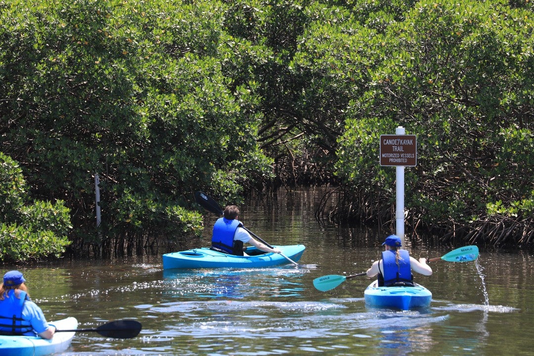 Paddling at Caladesi Island