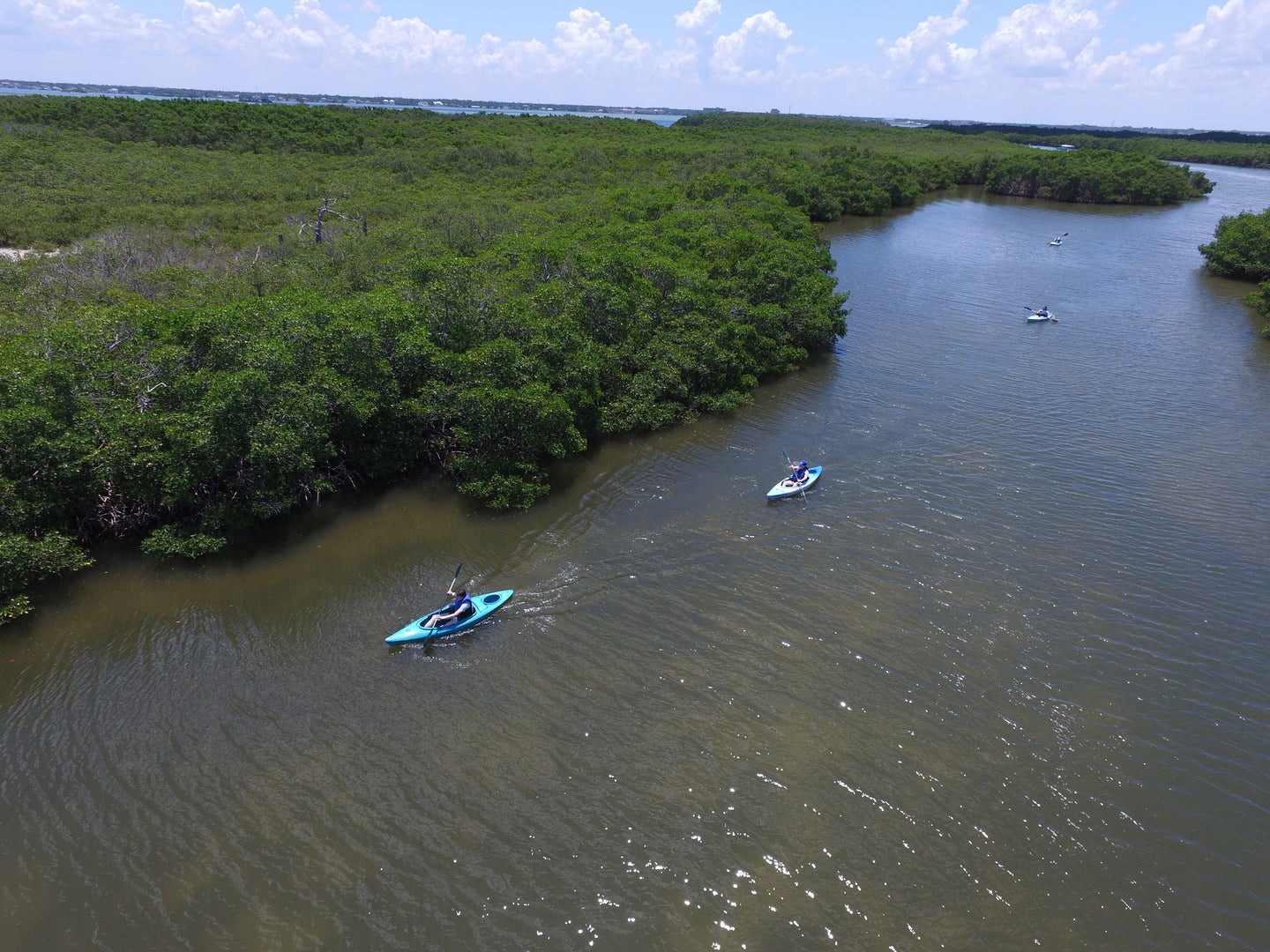 Aerial photo of paddlers in mangroves at Caladesi Island. 