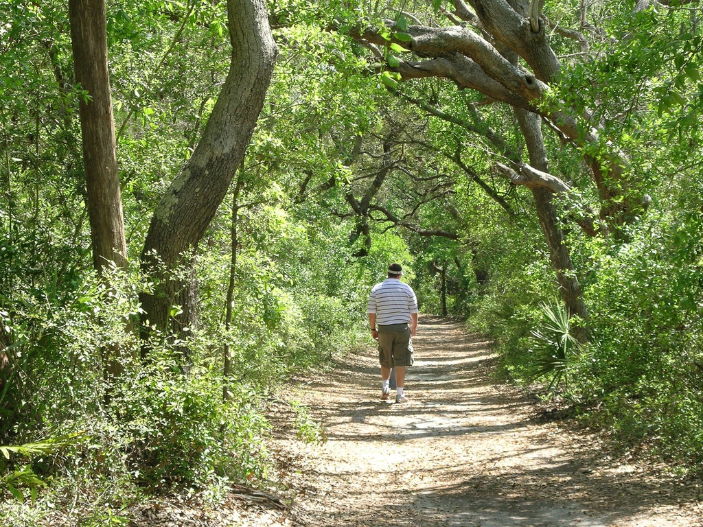 Walking the Trail at Camp Helen