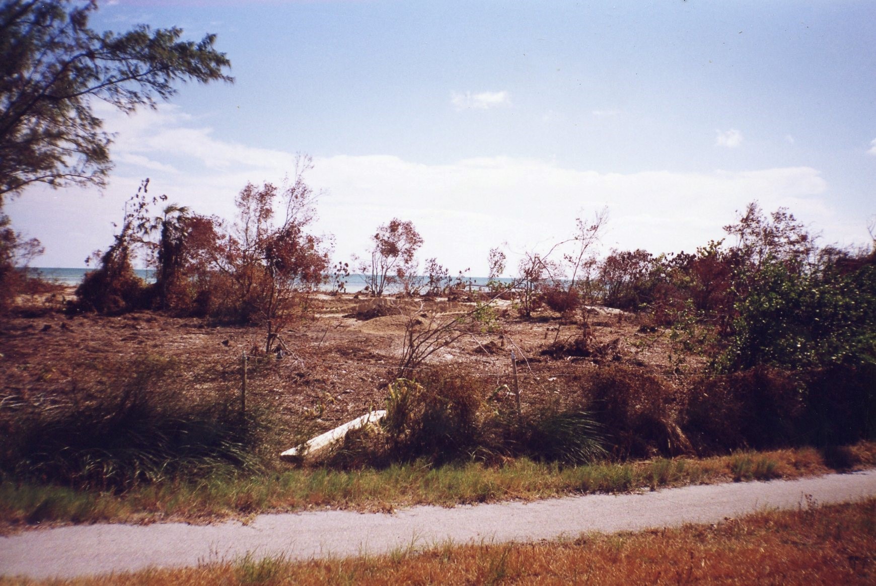 The campground’s vegetation was impacted, post Hurricane Irma.