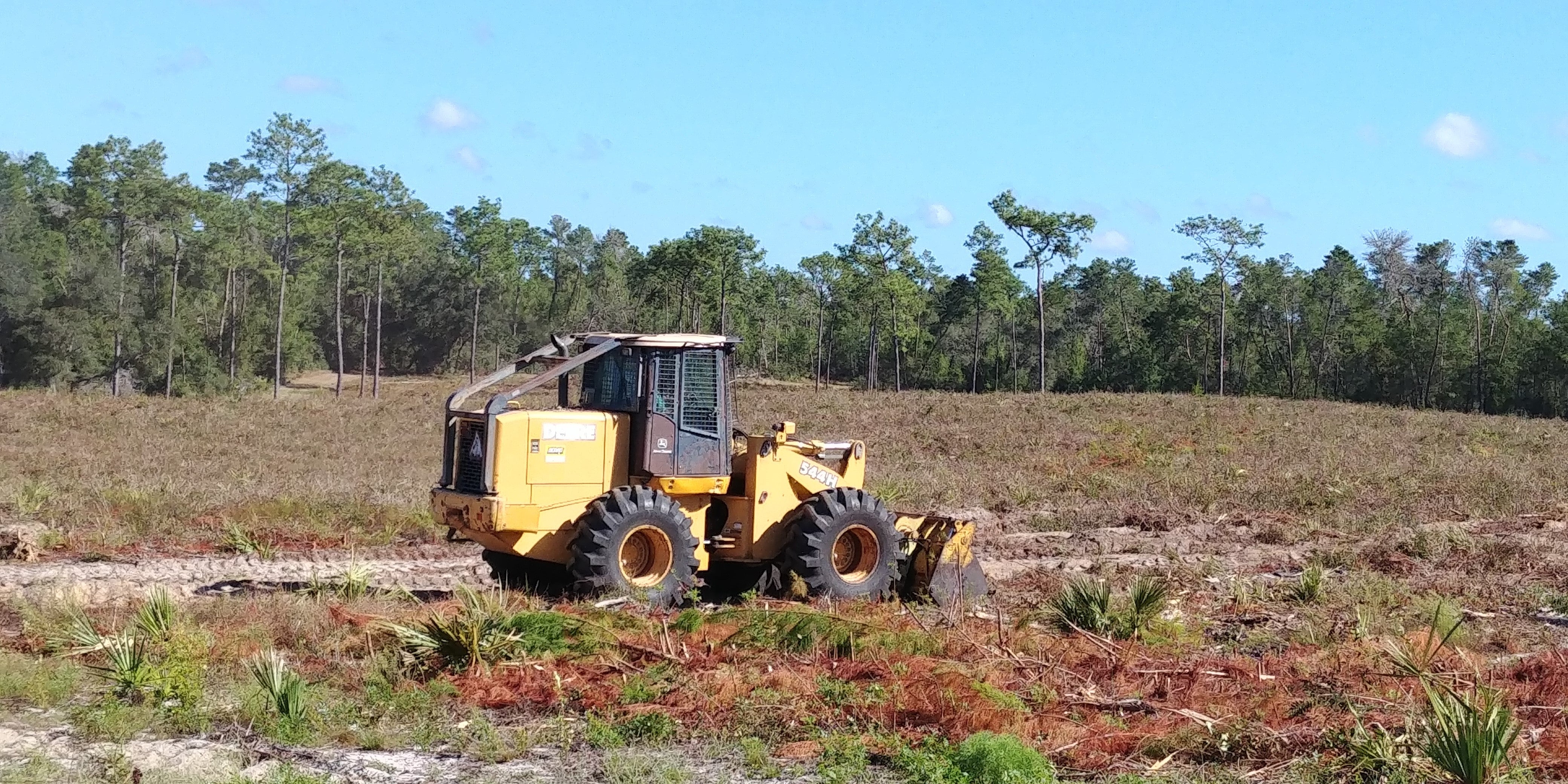 Clearing after mowing to create sandy areas.