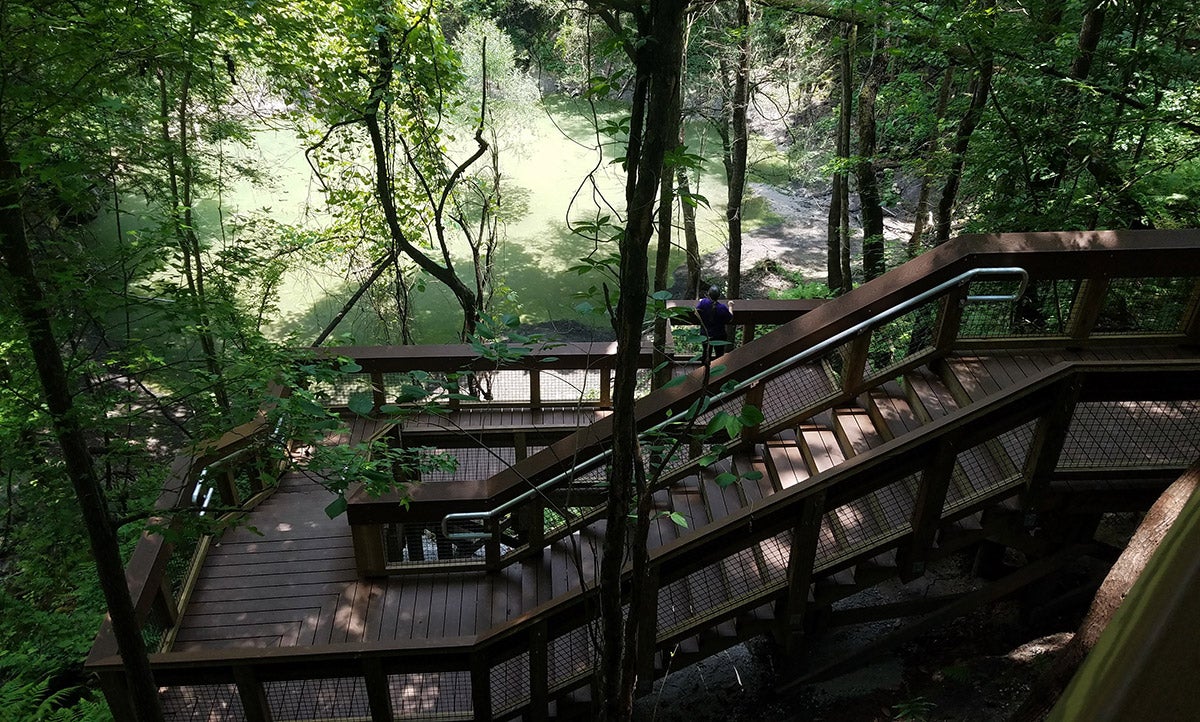 New sinkhole boardwalk at Devil's Millhopper