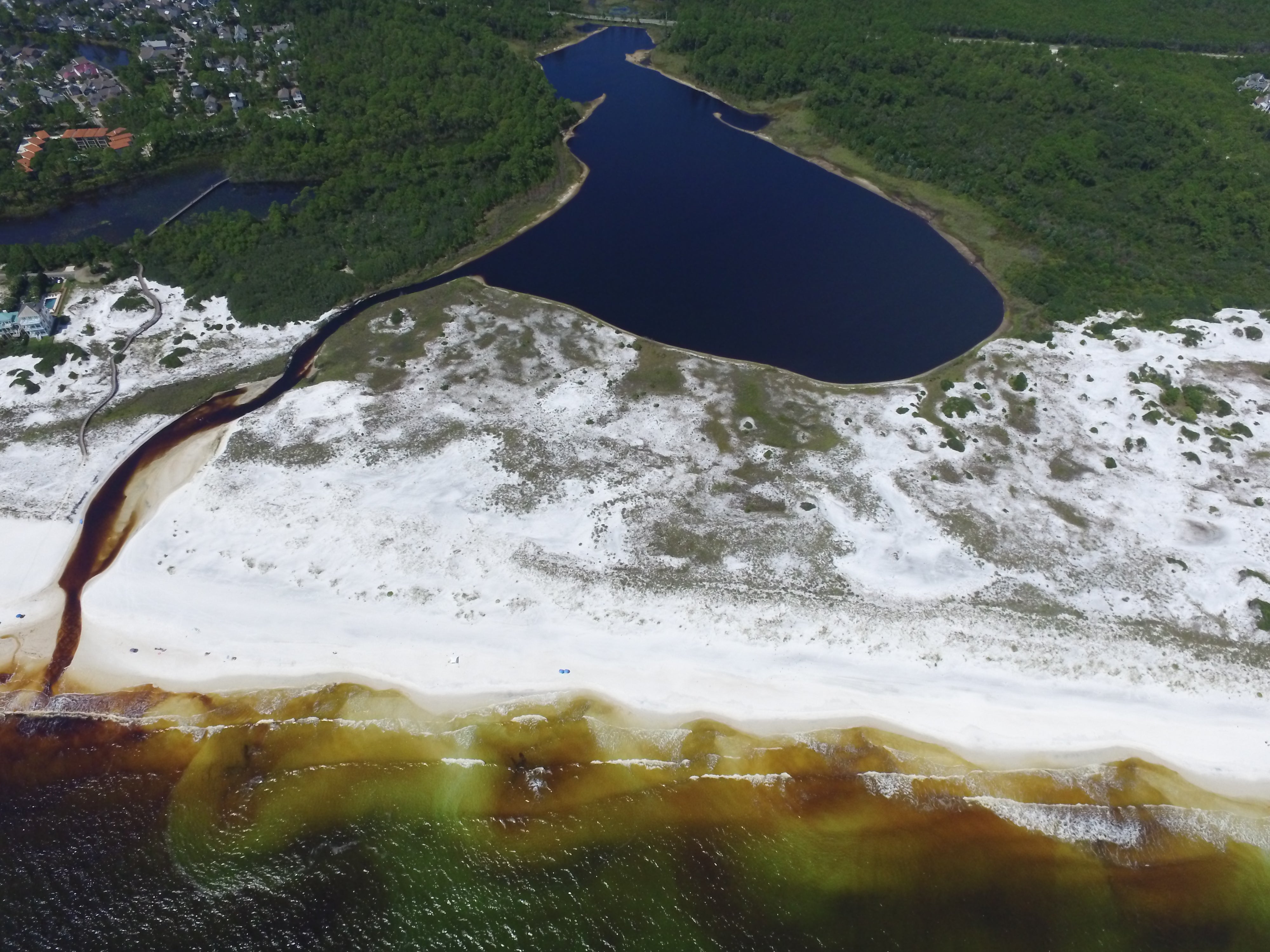 An arial view of Deer Lake. 