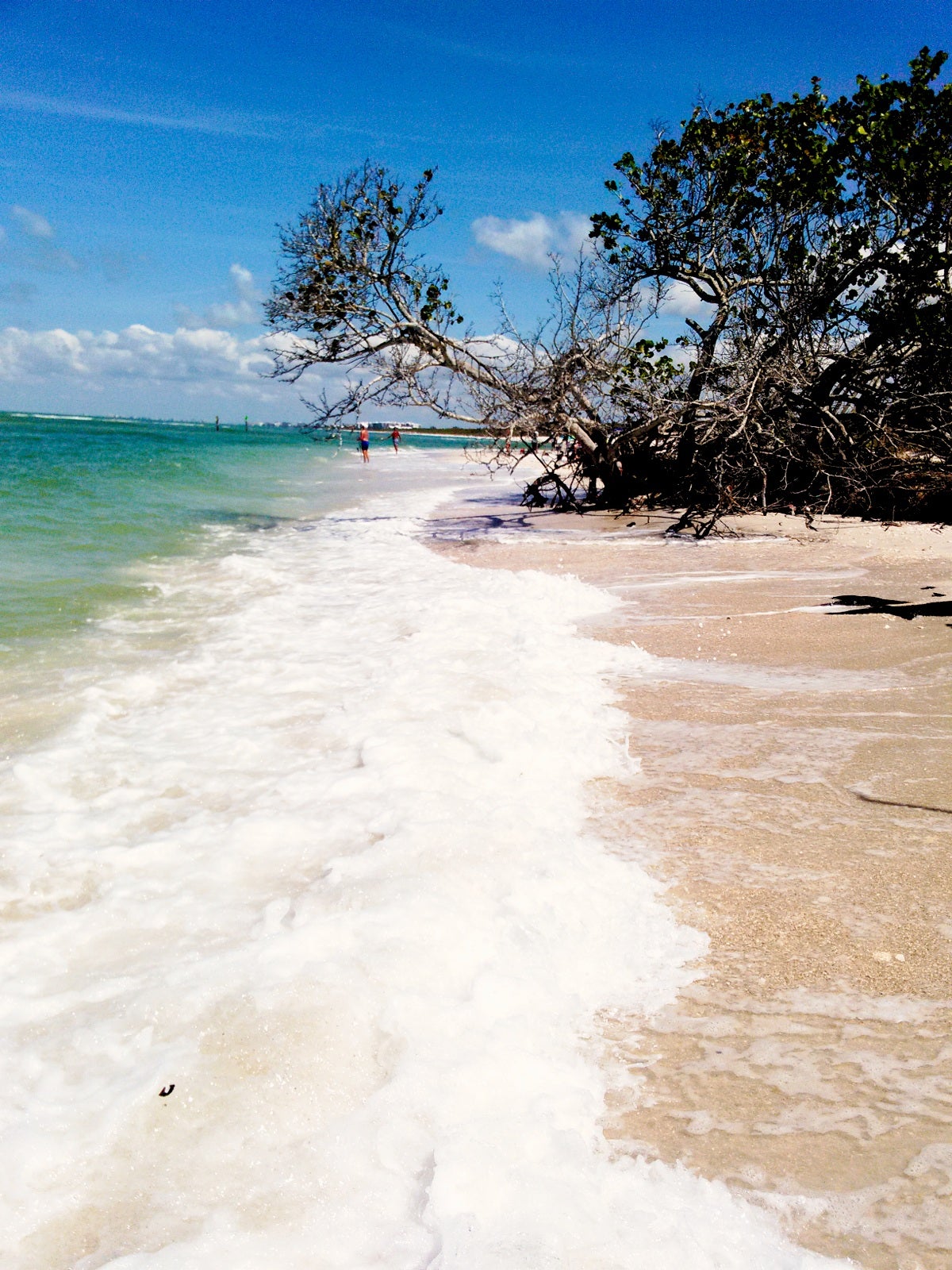 Beach at Delnor-Wiggins