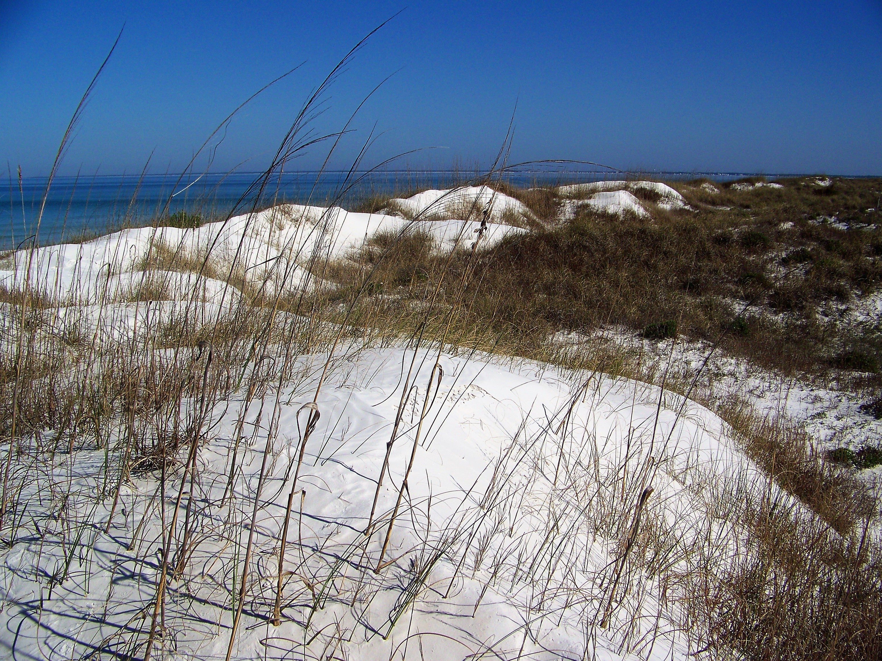 Sand Dunes play an important role