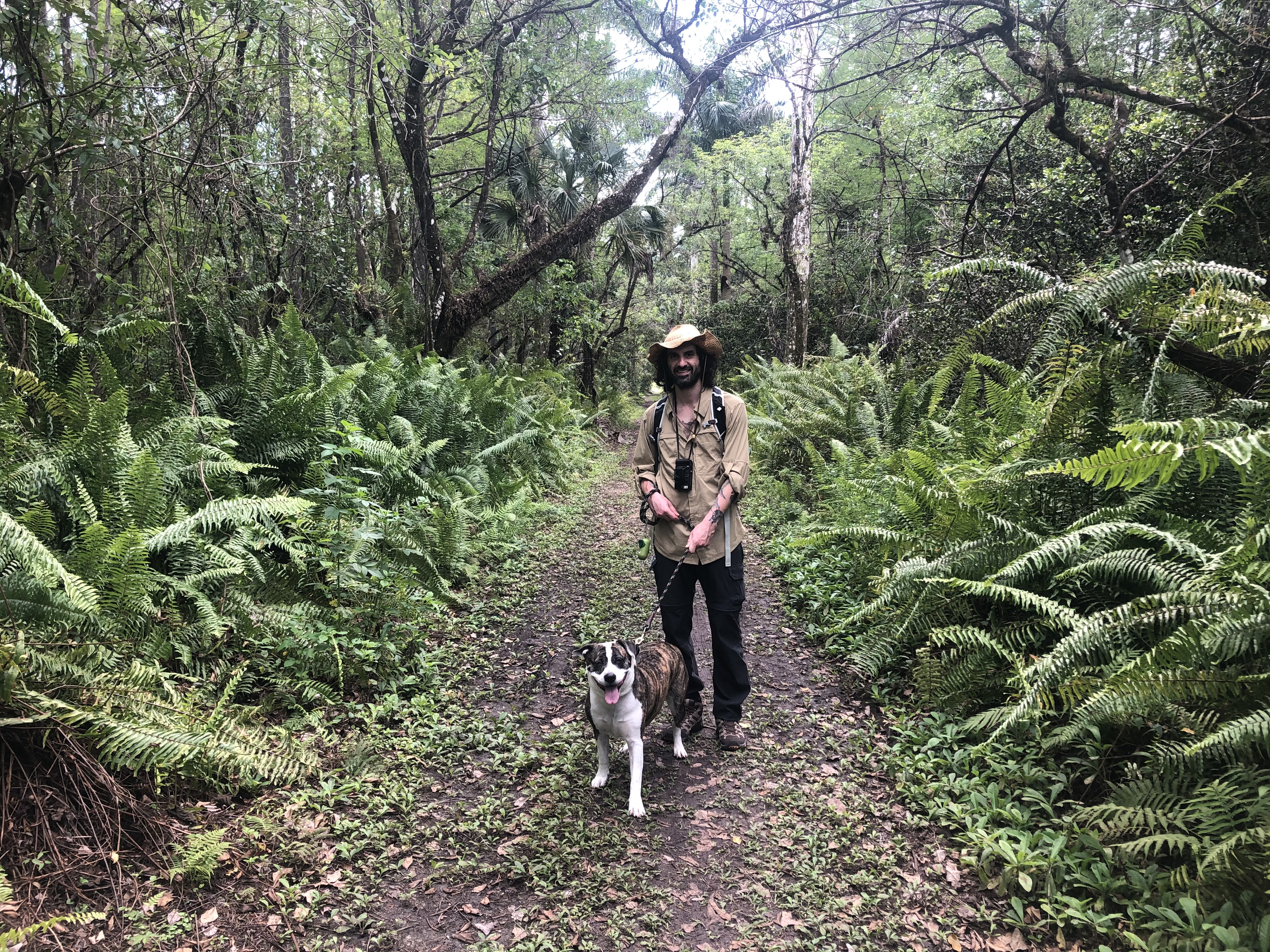 Mark Ferro and his dog, hiking on a trail at Fakahatchee Strand Preserve.