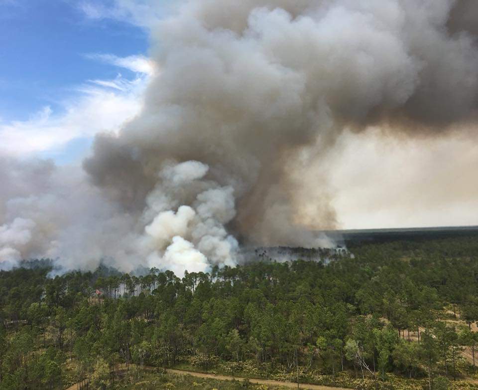 An areial view of smoke amongst the trees. 