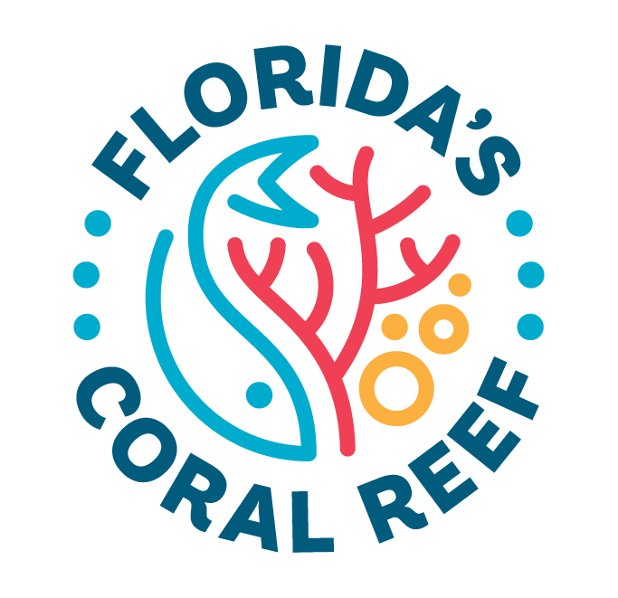 Coral Reef at St. Lucie Inlet Preserve | Florida State Parks