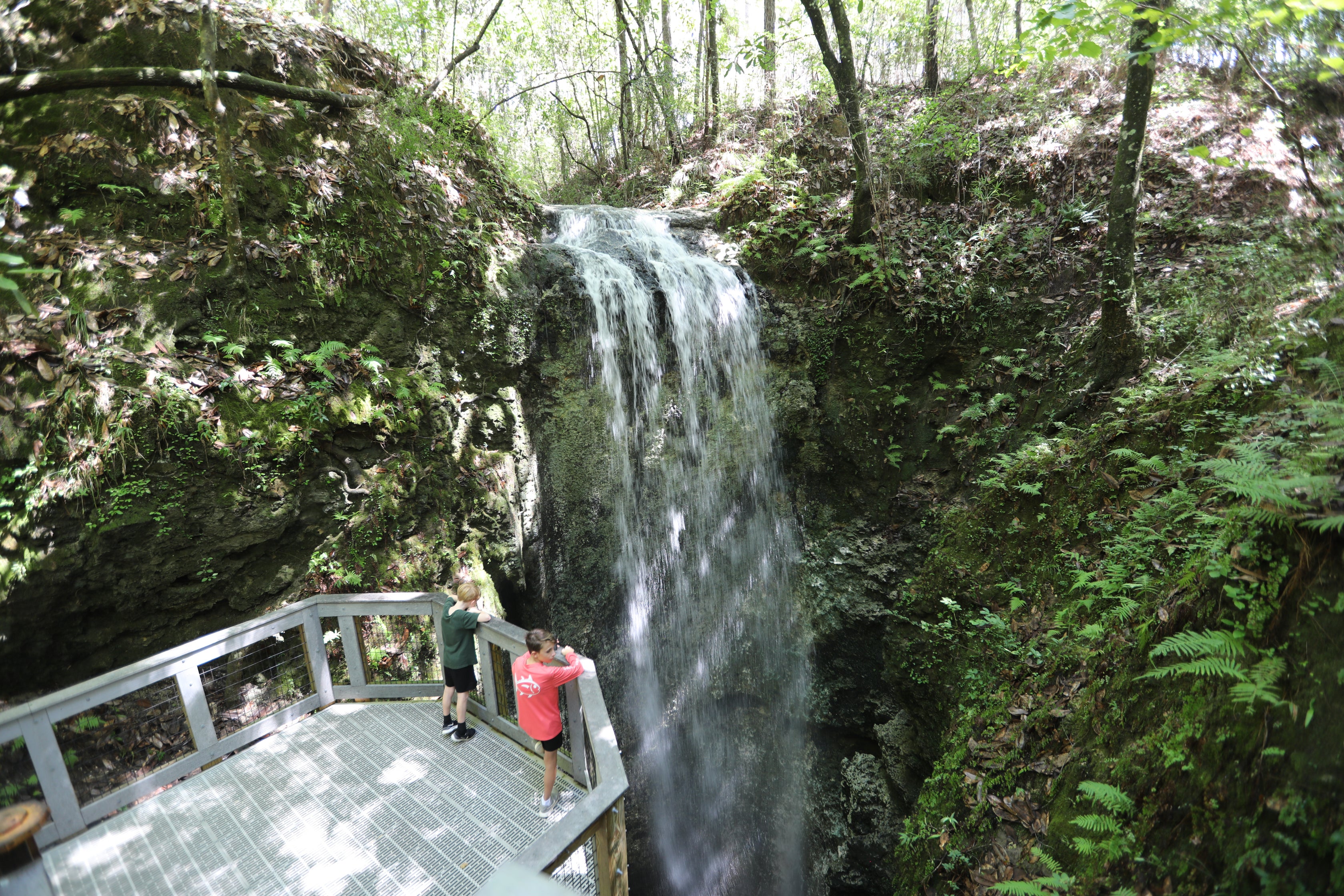 boardwalk, sinkhole, water, boardwalk, cave