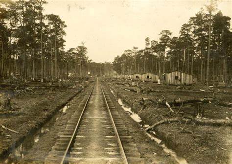 railroad, train, trail