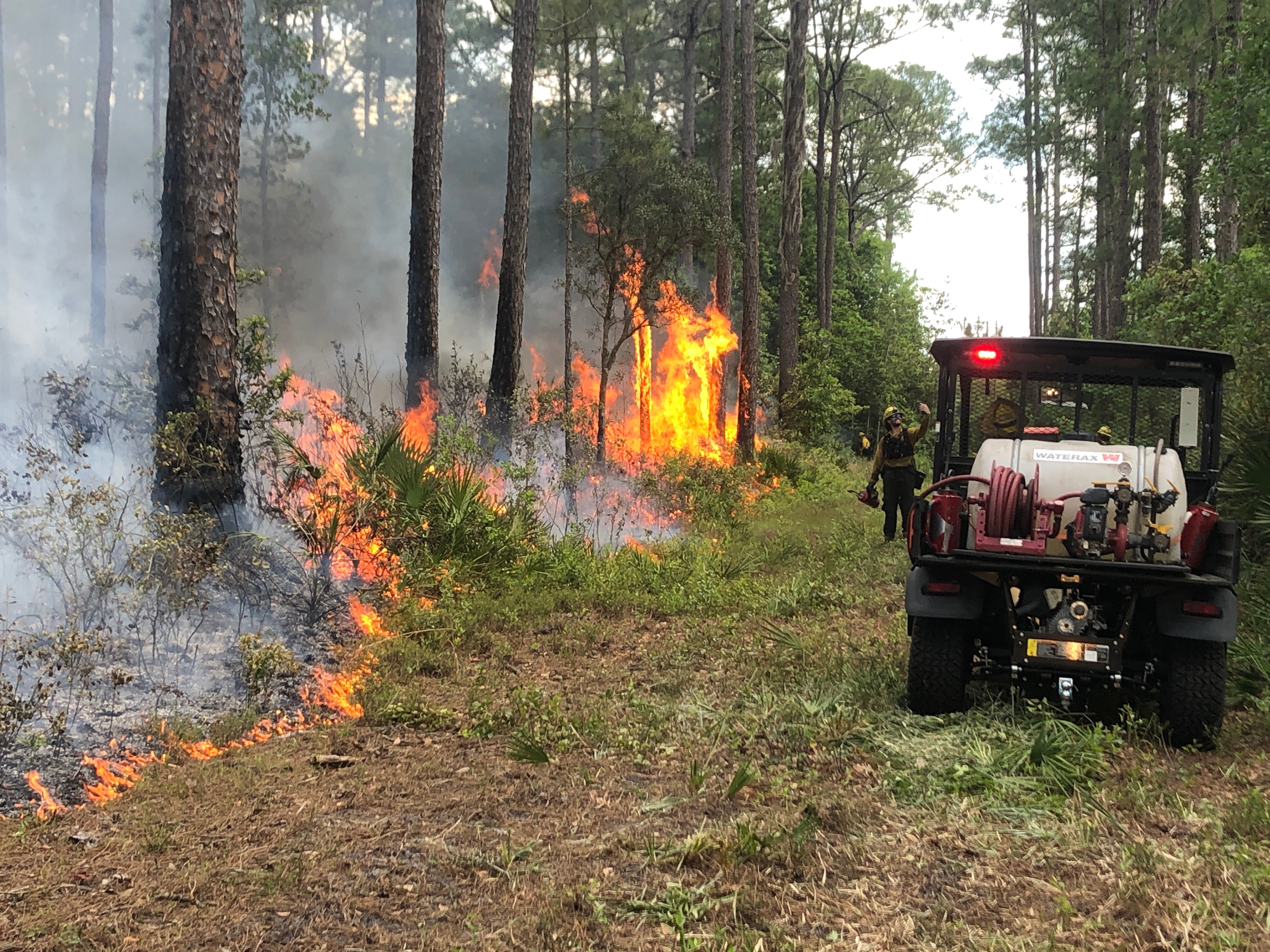 Burn boss Keith Morin watches a prescribed fire at Paynes Prairie Preserve State Park.