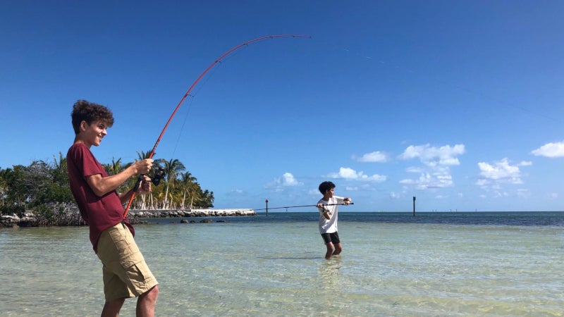 Sea Life at Curry Hammock