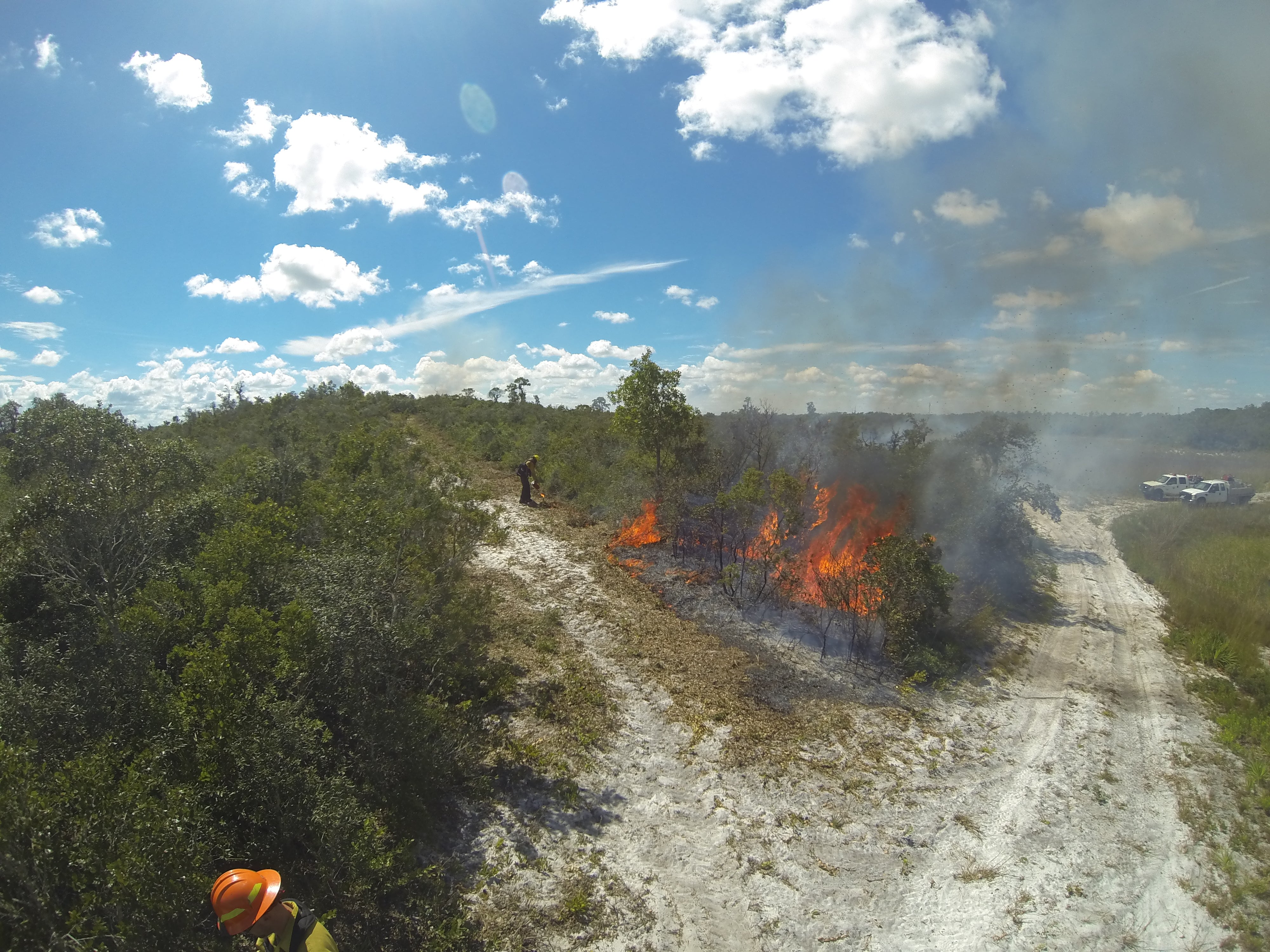 Prescribed fire at Catfish Creek scrub