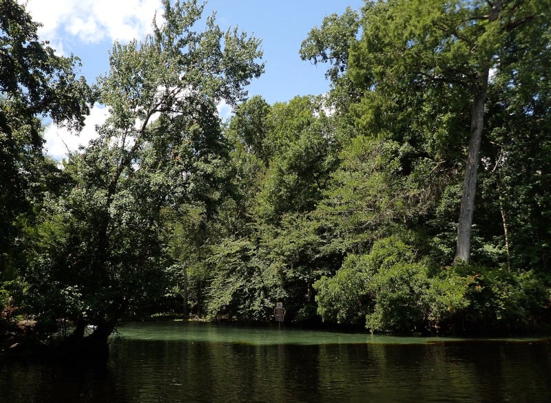 Gilchrist Blue confluence with Santa Fe River