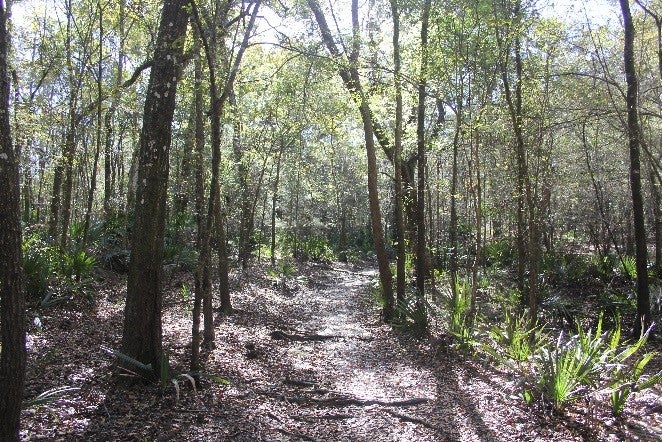 Nature trail