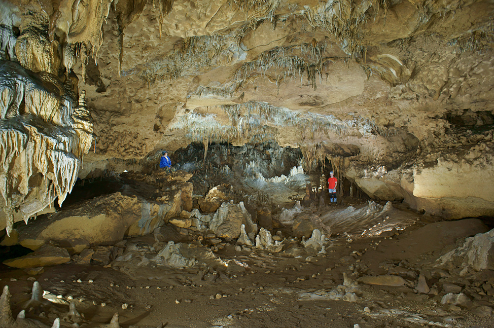 Dragons Belly Cave within the Florida Caverns State Park 