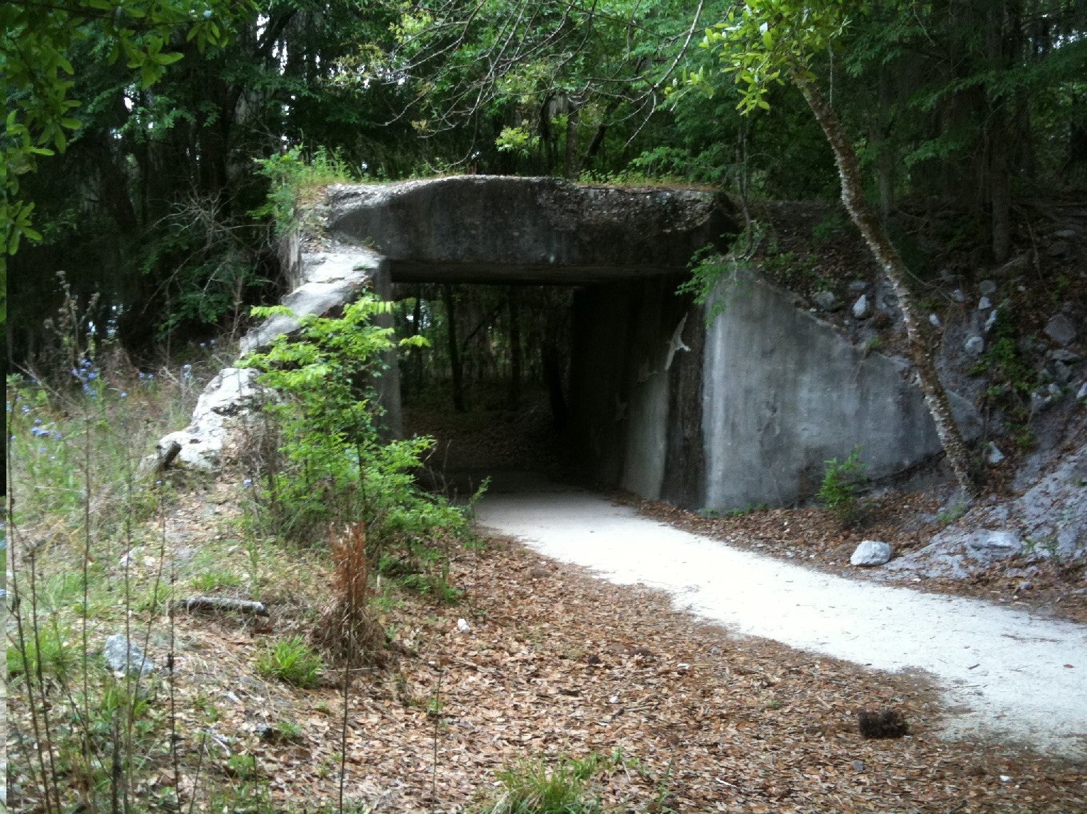 Train trestle at the La Chua spur