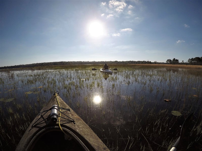 two kayaks paddle across a lake in bright sunlight