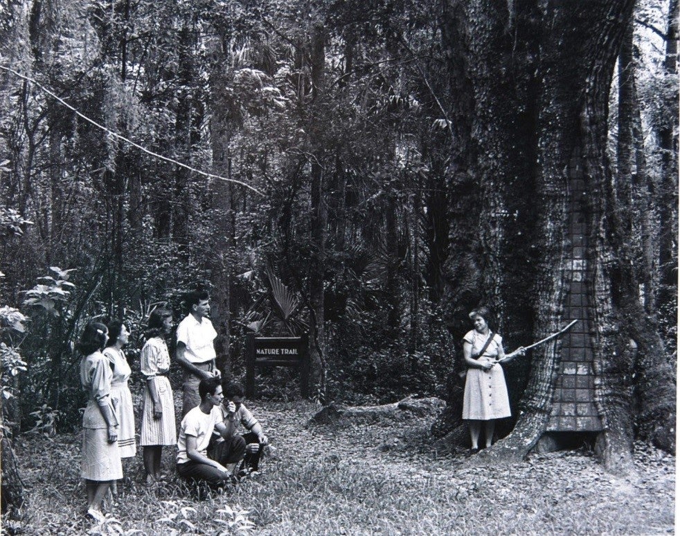 Carol Beck interpreting at Highlands Hammock State Park