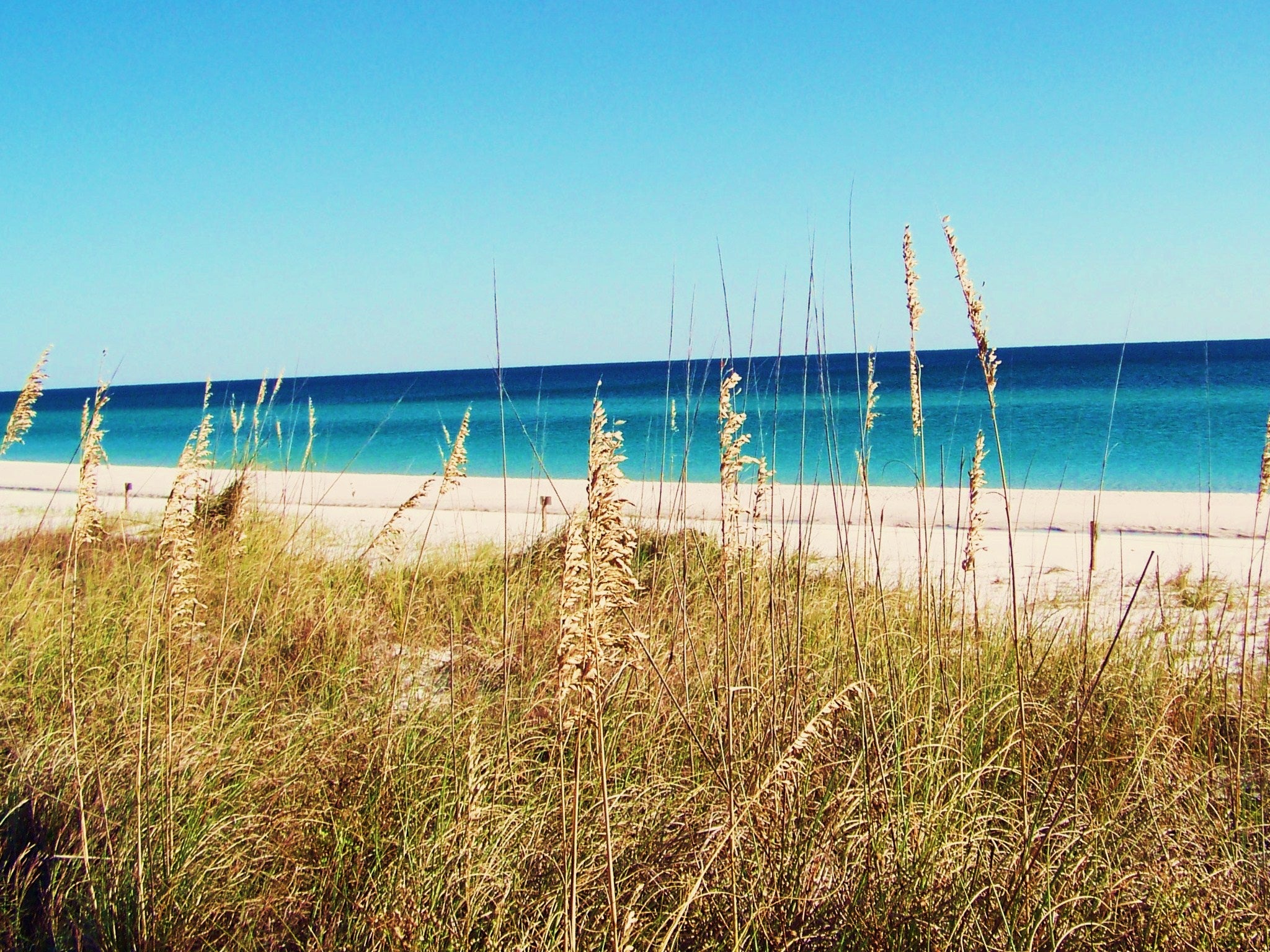 Henderson Beach