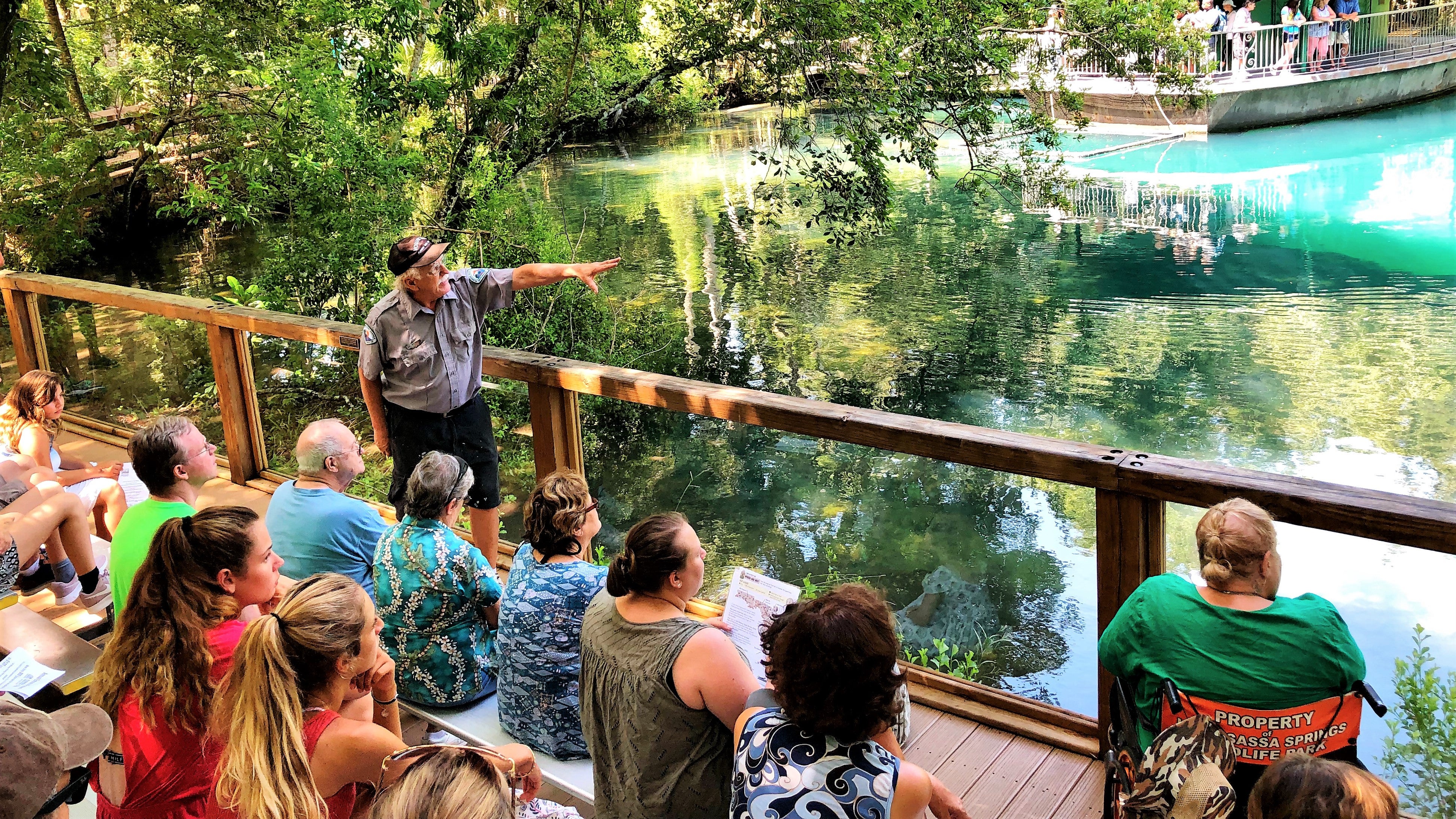 Manatee Education Program Homosassa