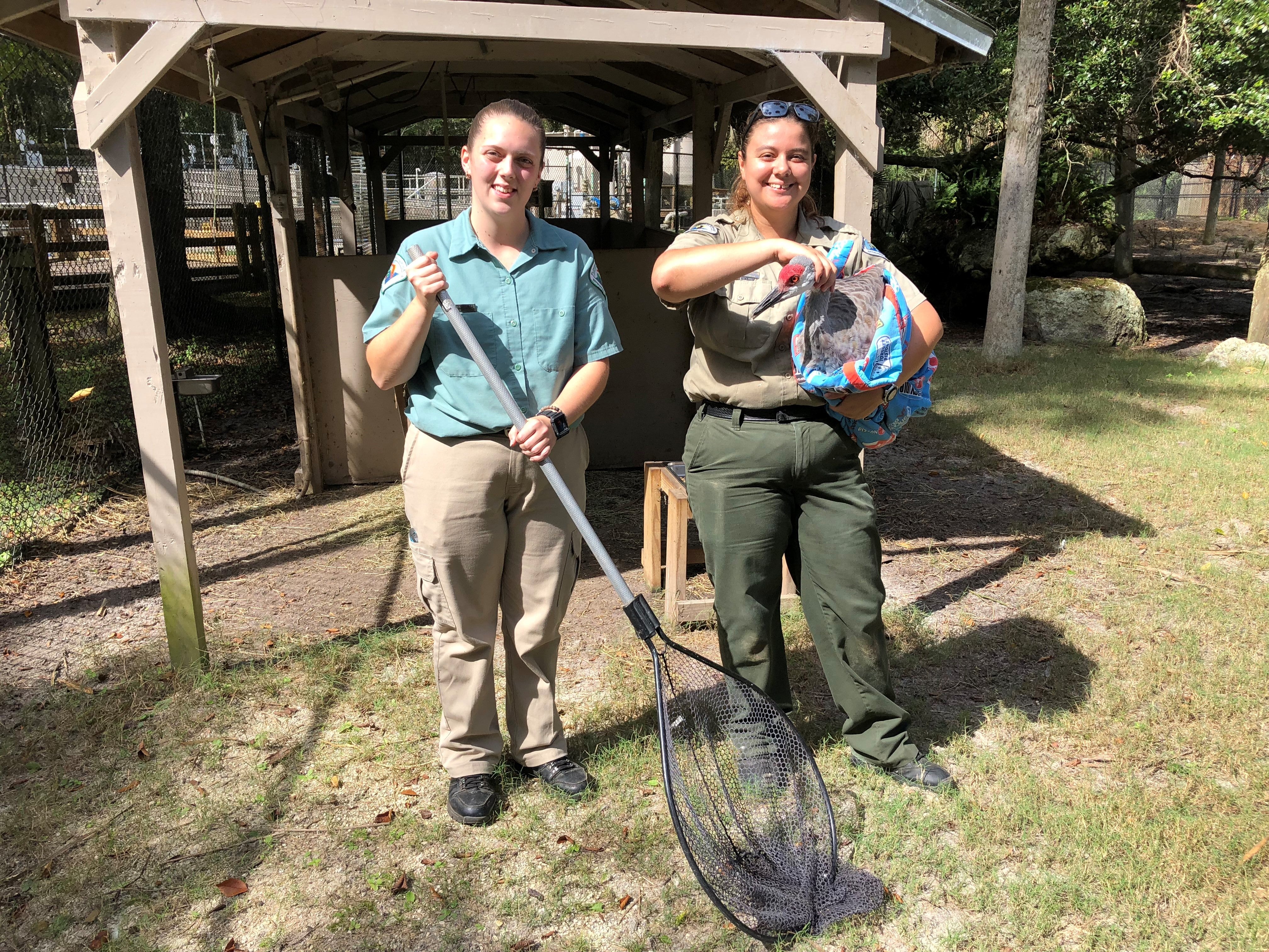 Storm Preparation - Homosassa