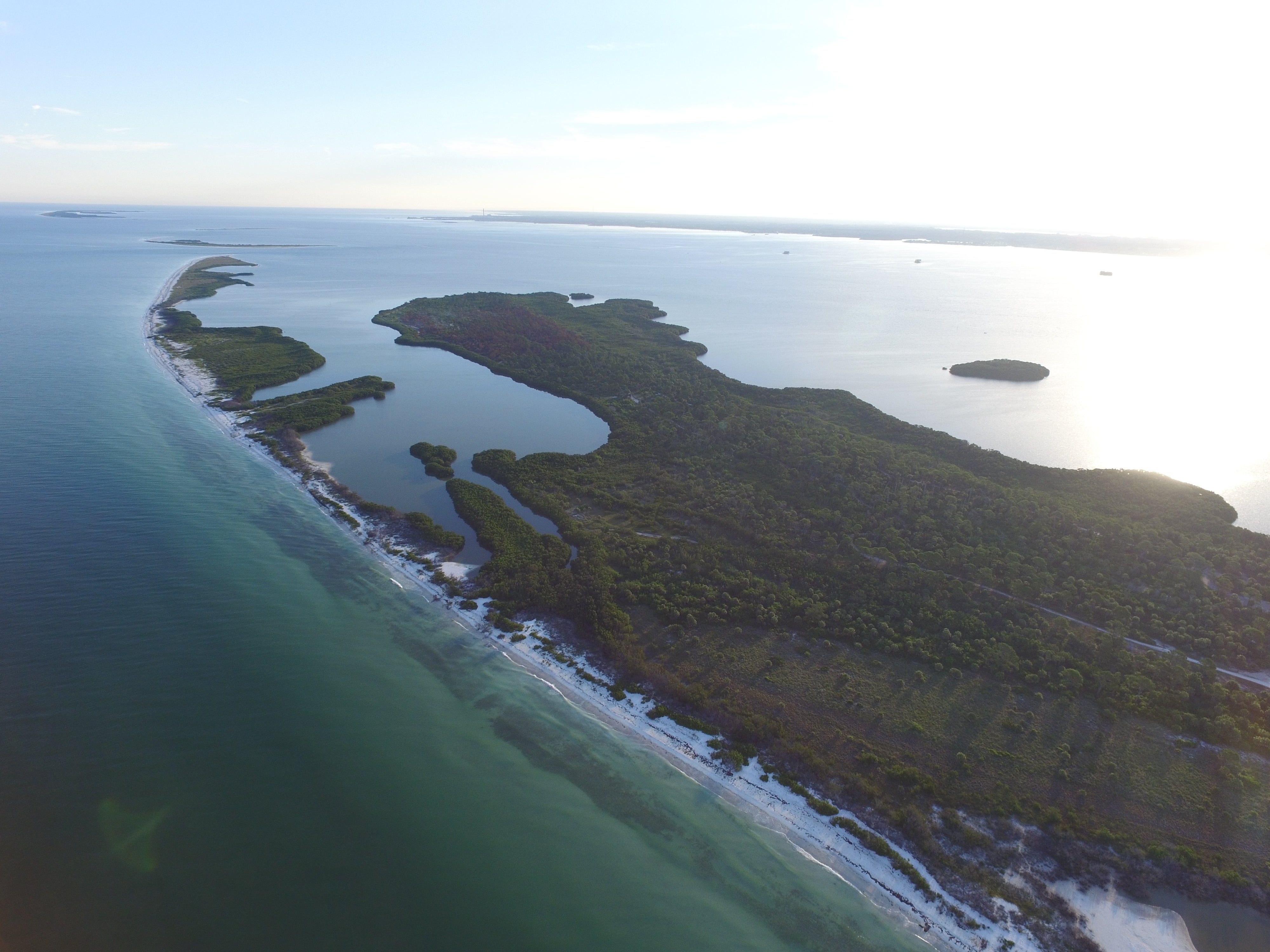 Honeymoon Island