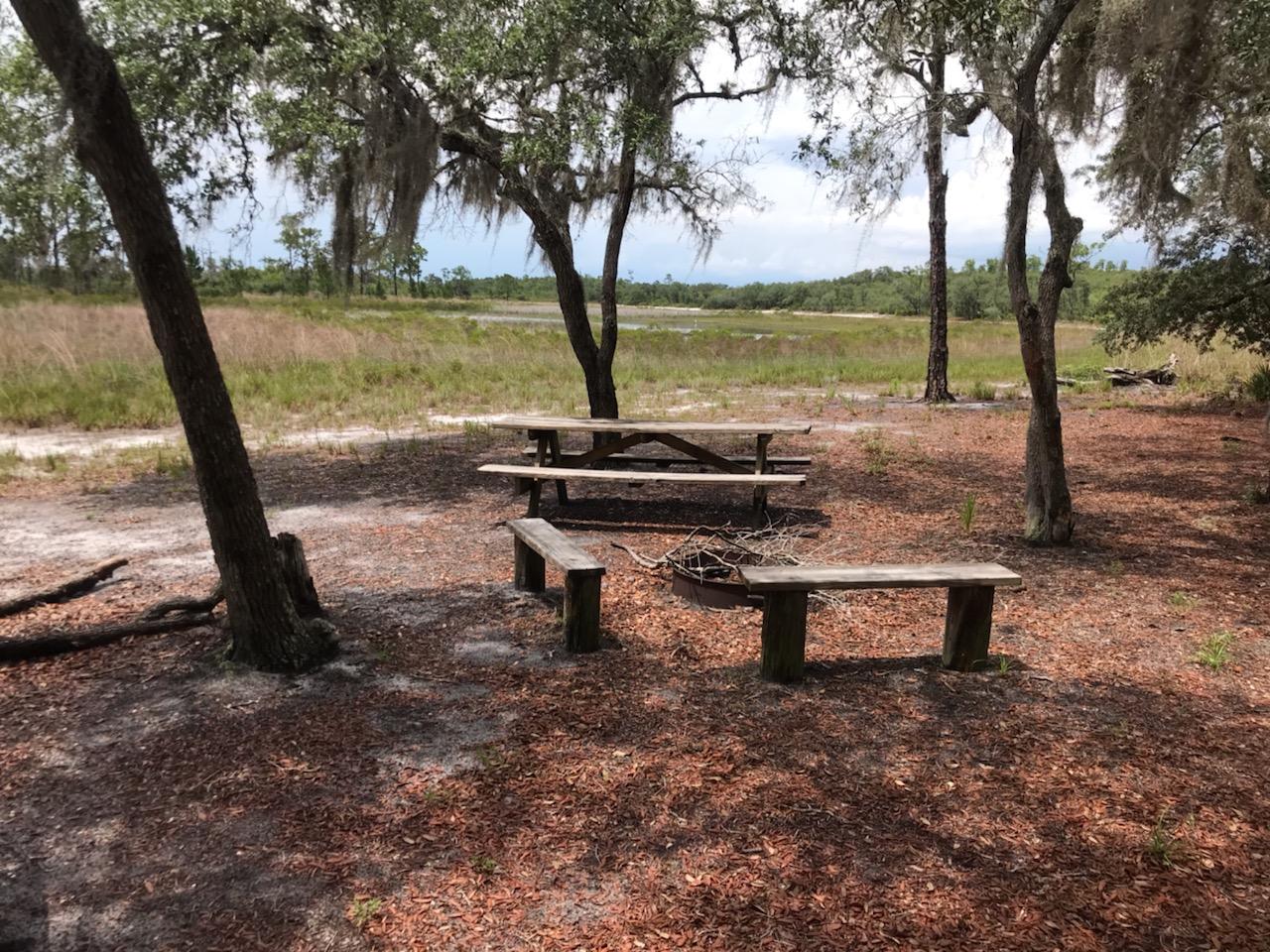 Primitive Camping at Catfish Creek Florida State Parks