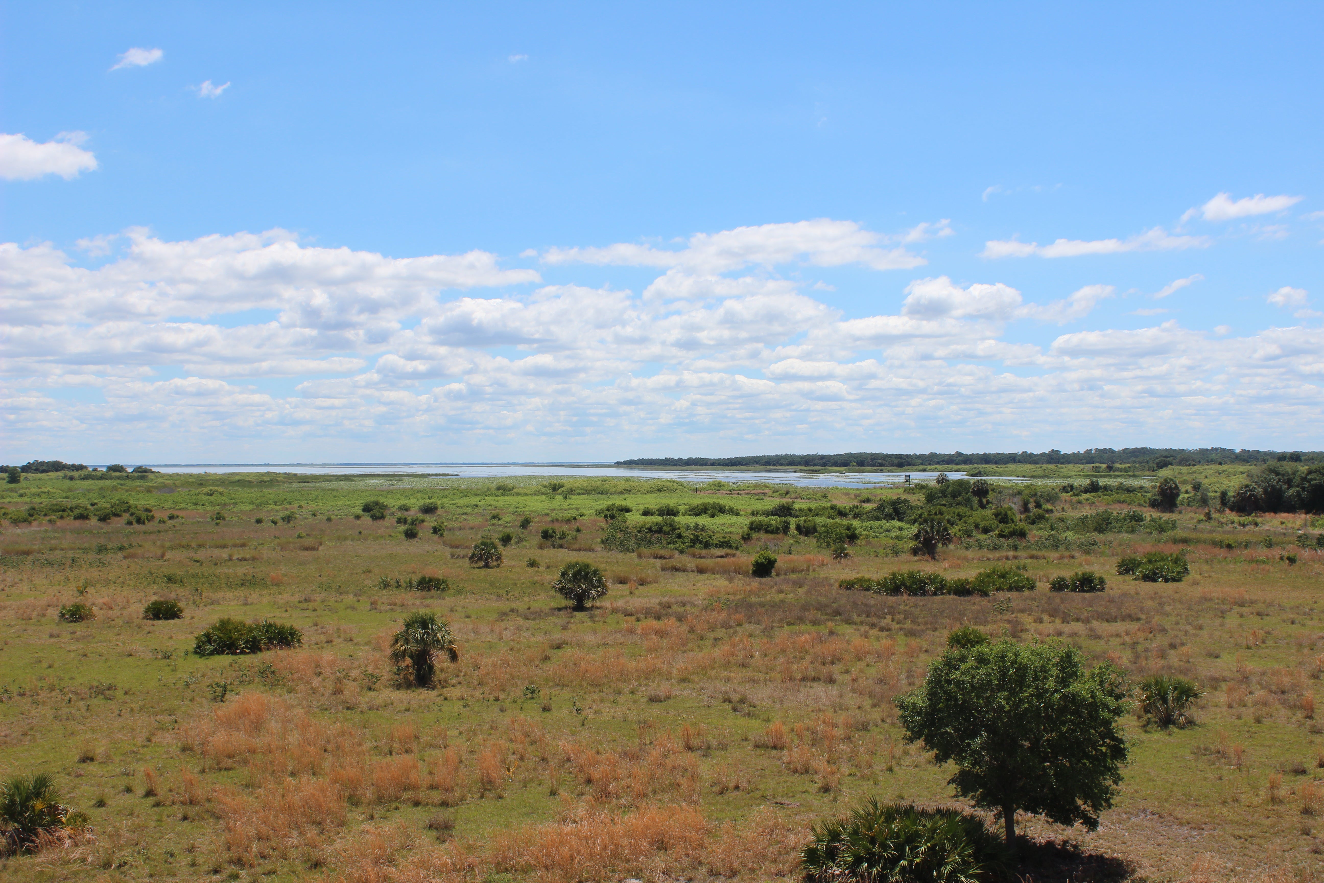 Photo of Lake Kissimmee in the distance