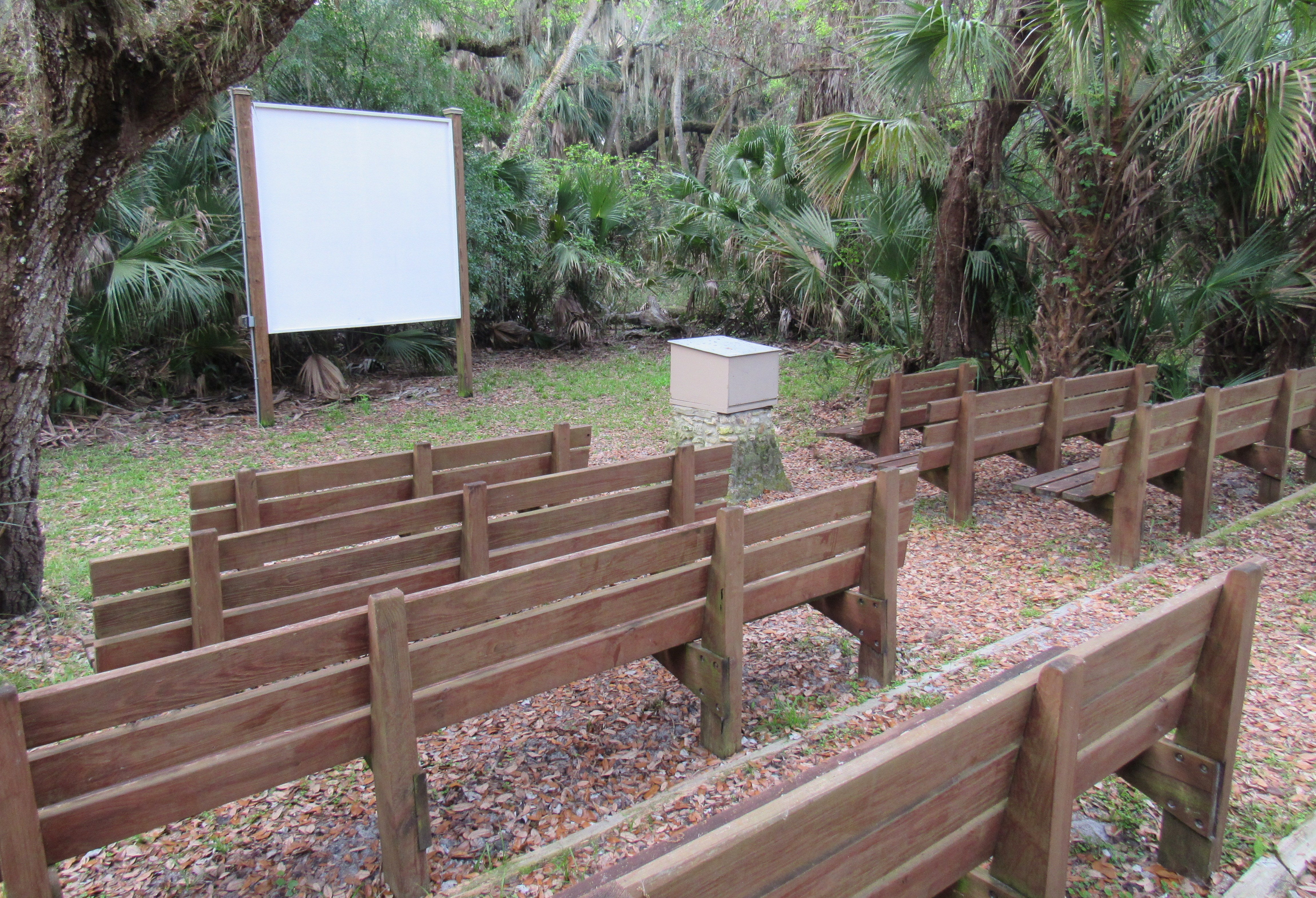 Rows of benches face a podium and screen with forest 