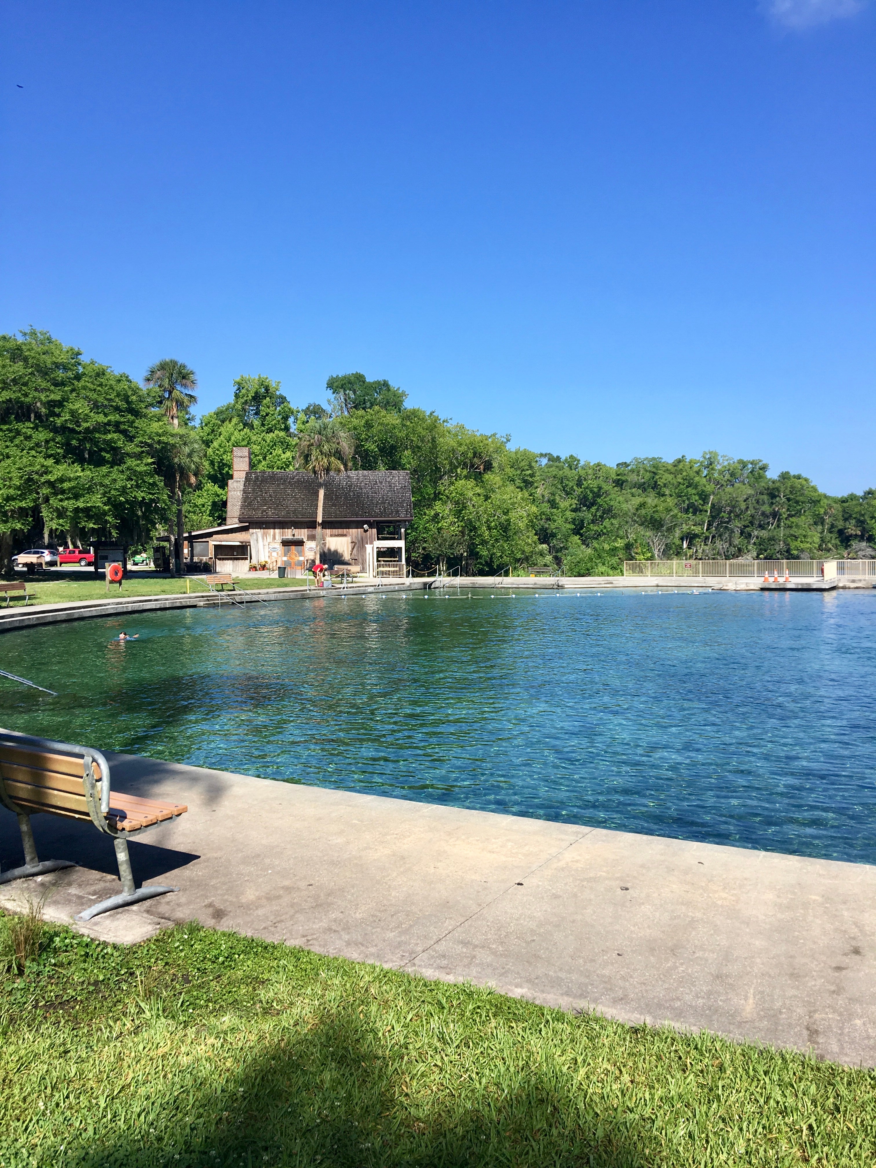 Spring at De Leon Springs SP