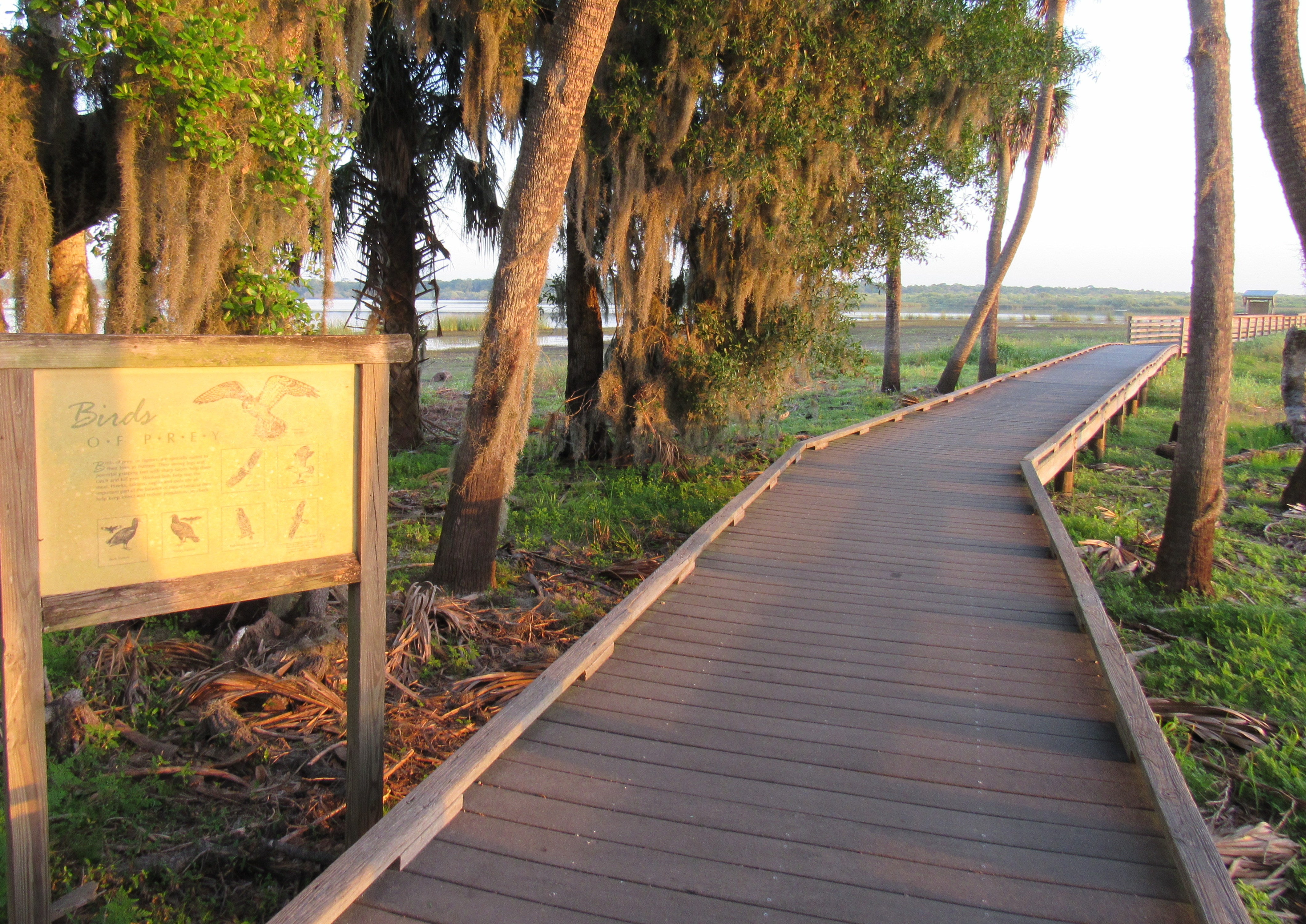 The beginning of the Birdwalk starts with an educational sign about birds of prey