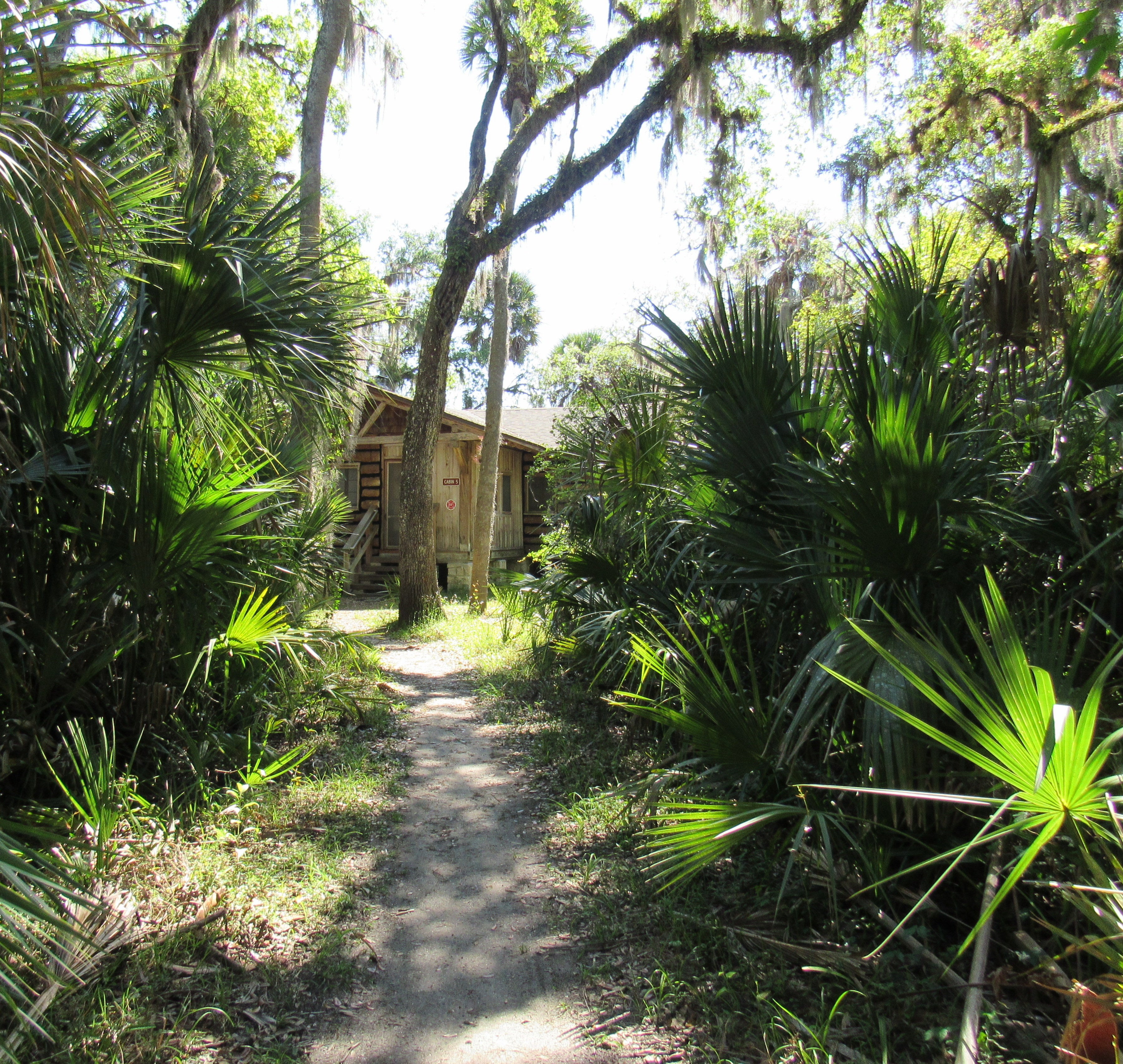 A neat trail leads to a cabin in the distance