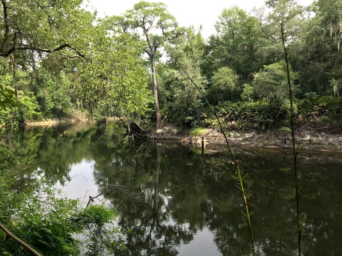 View of the Withlacoochee River