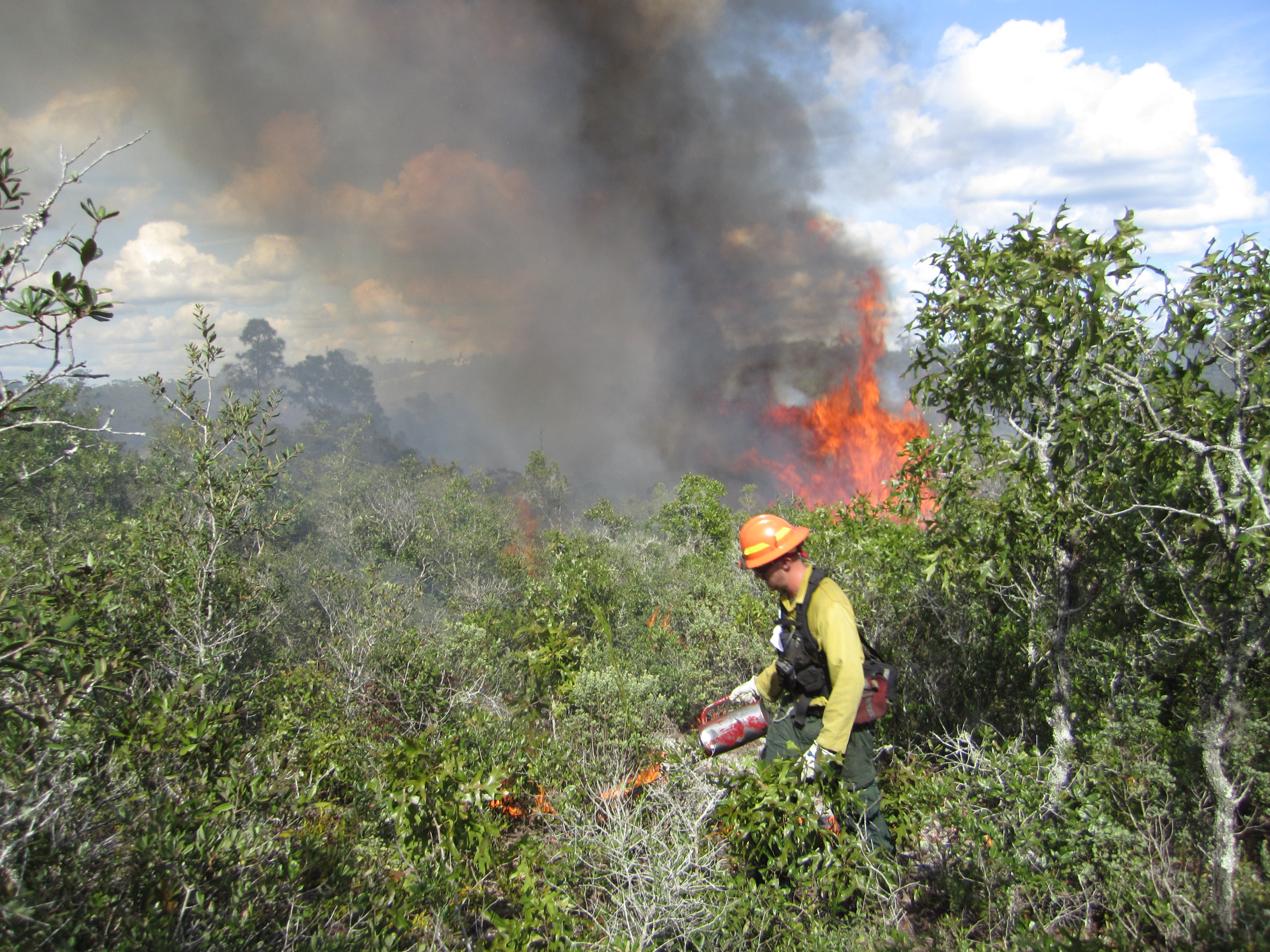 Prescribed fire at Catfish Creek scrub