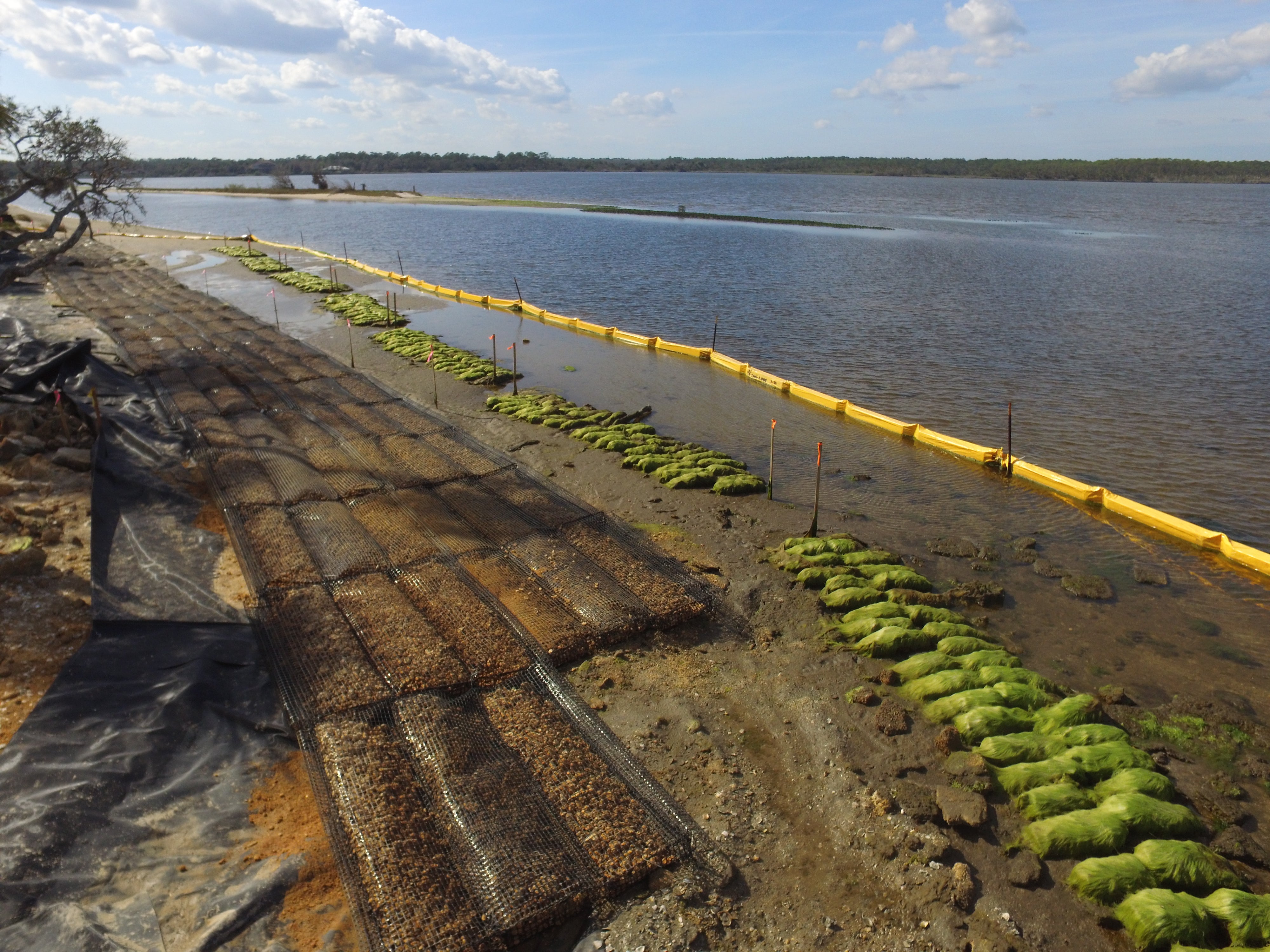 Restoration of the Tomoka Point