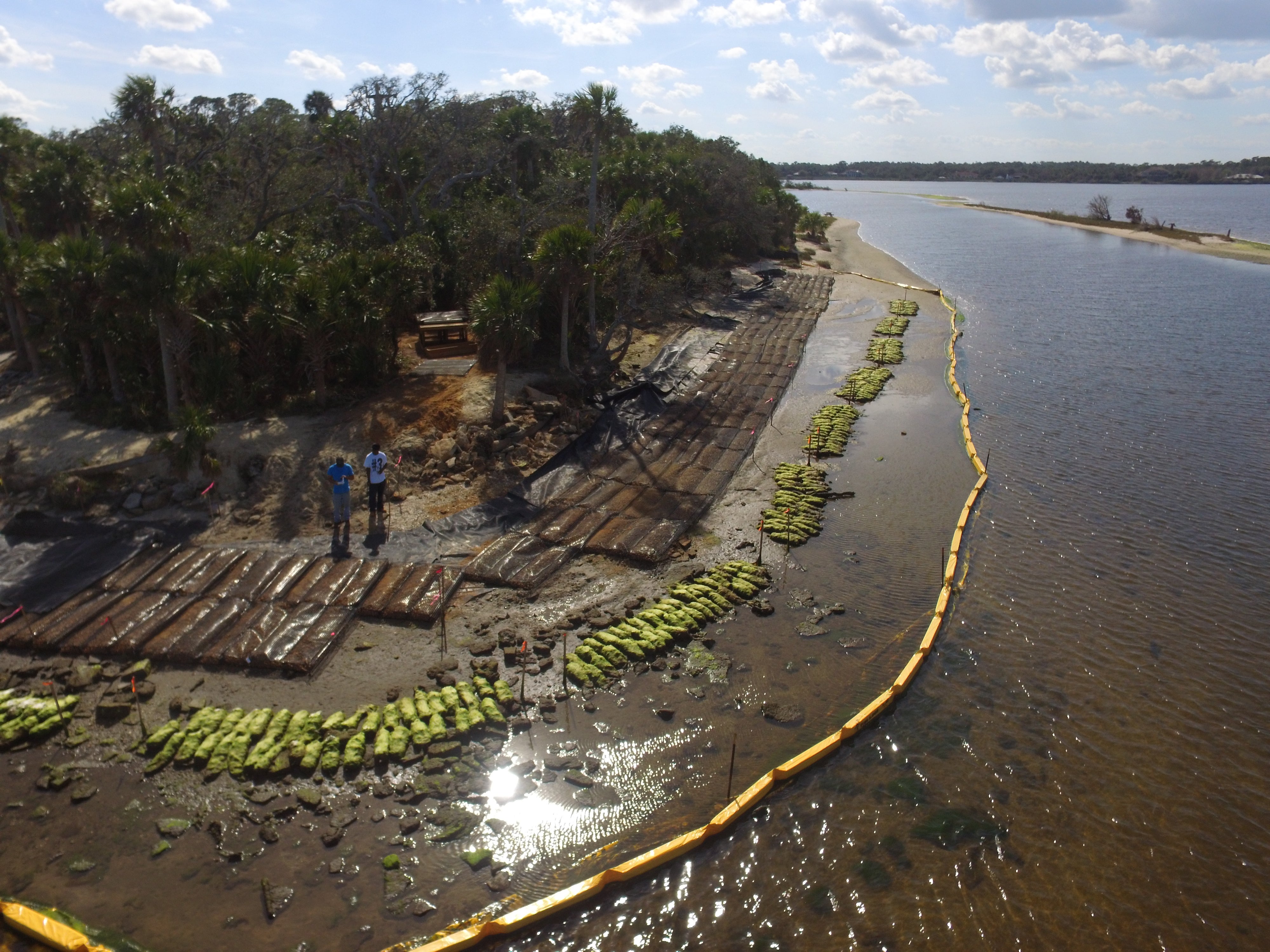 Tomoka Point Restoration