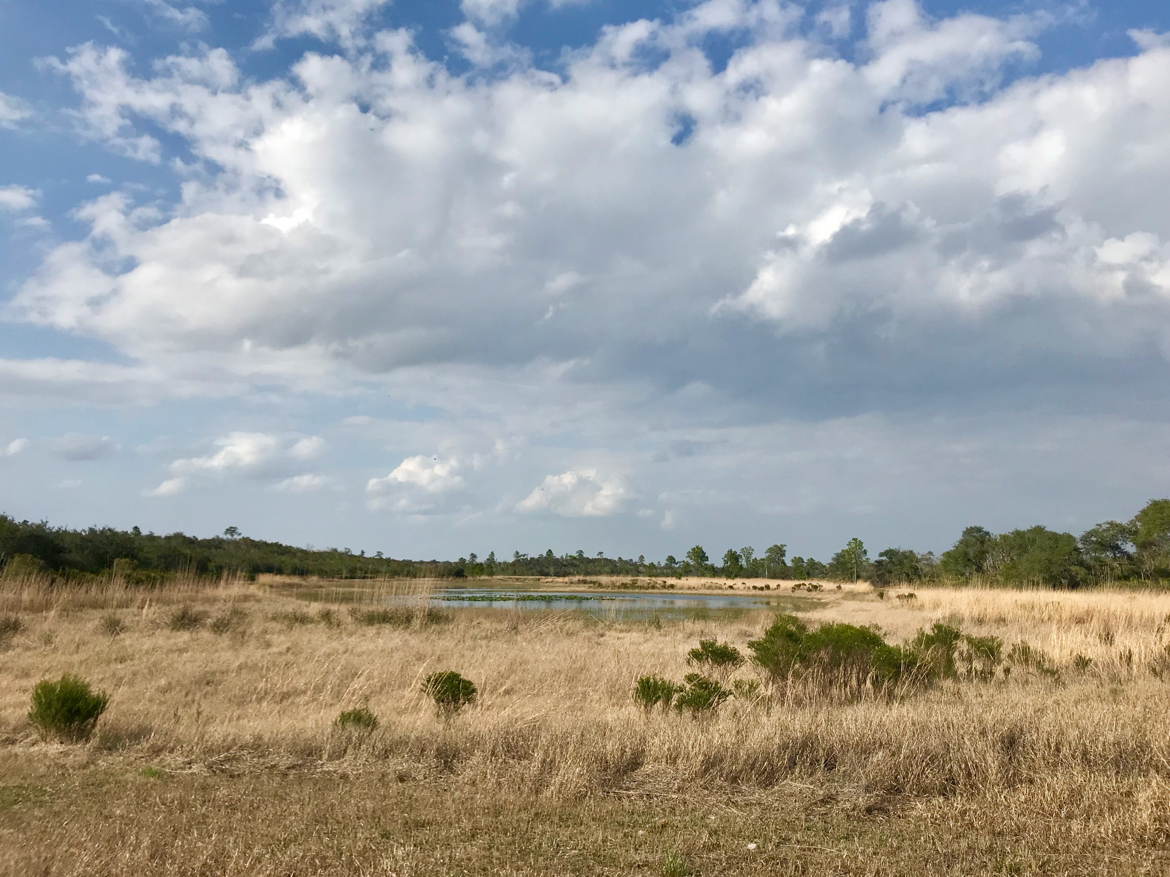 Pond at Catfish Creek