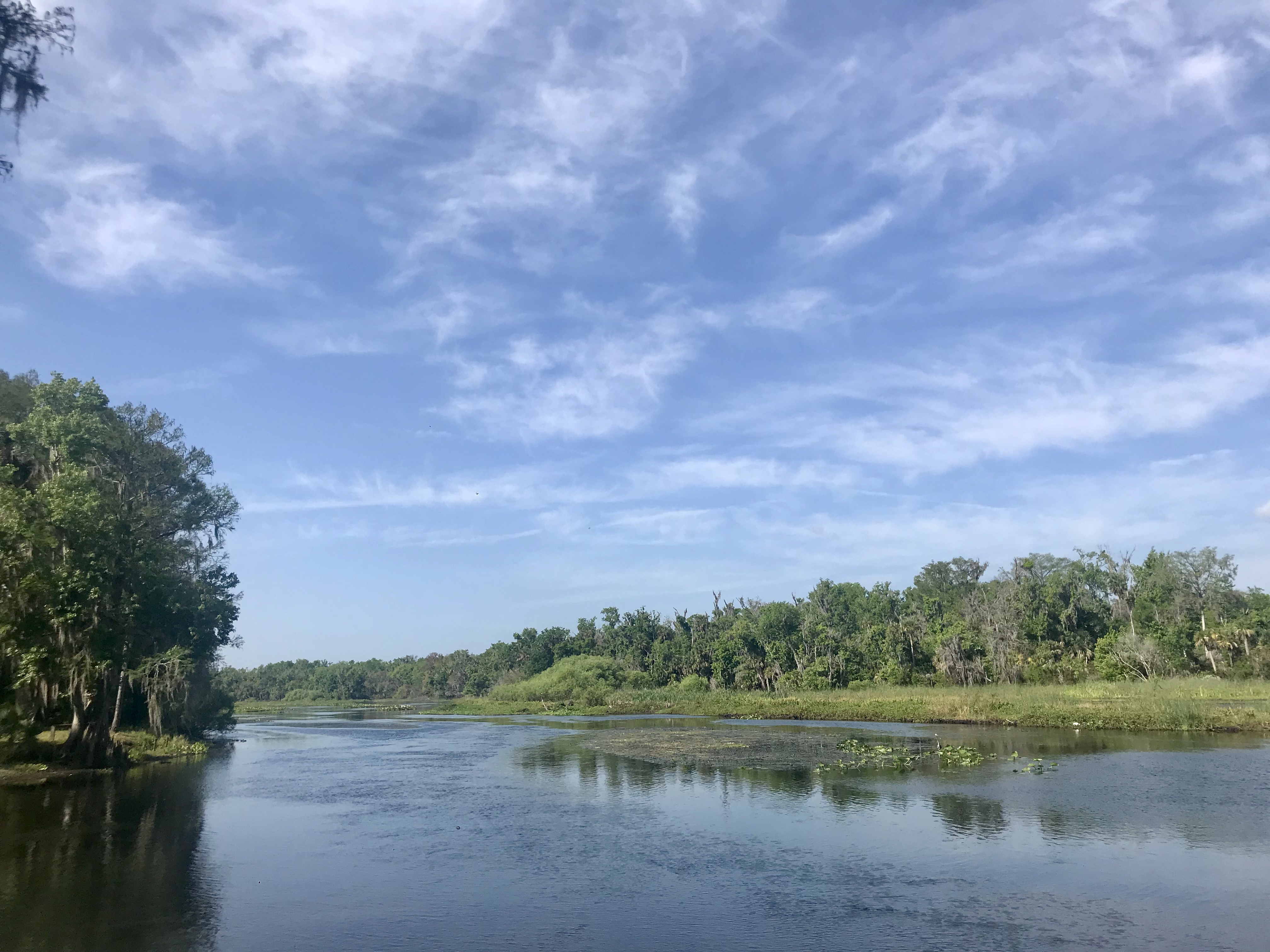 view of Wekiva River from launch site at Katies Landing