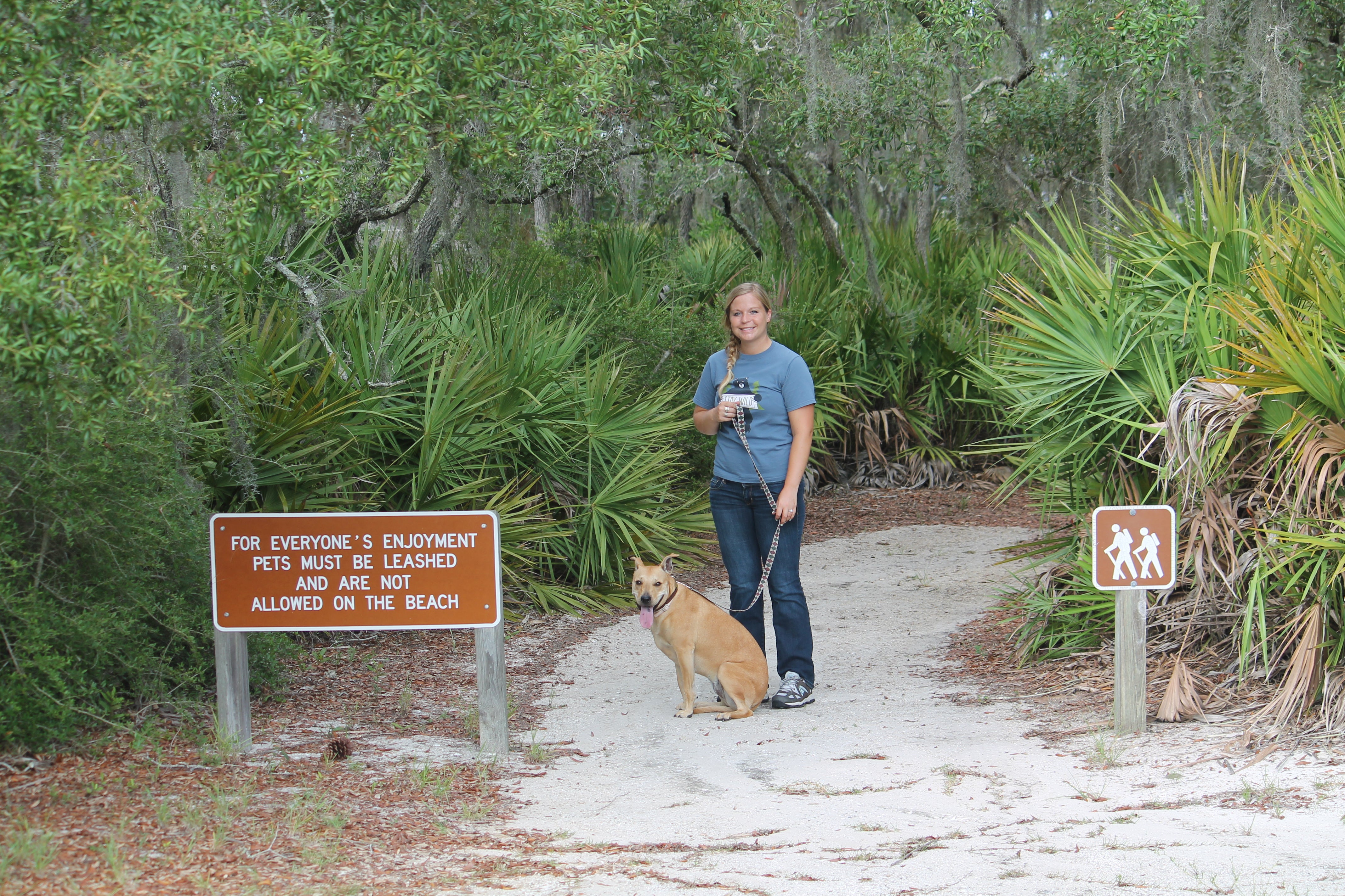 are dogs allowed in georgia state parks