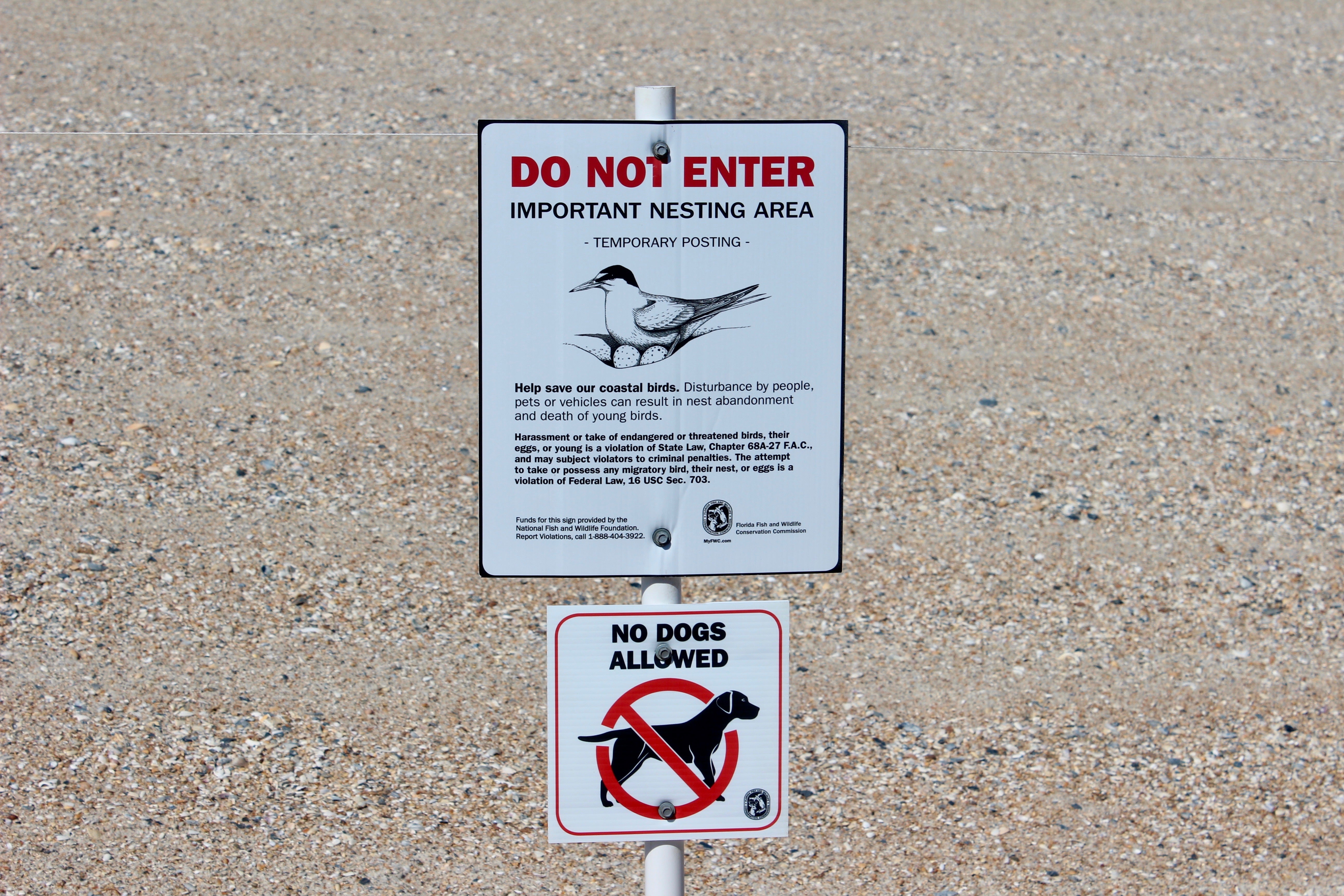 Shorebird nesting sign at Anastasia 