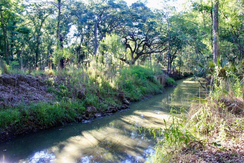 Creek at Colt Creek