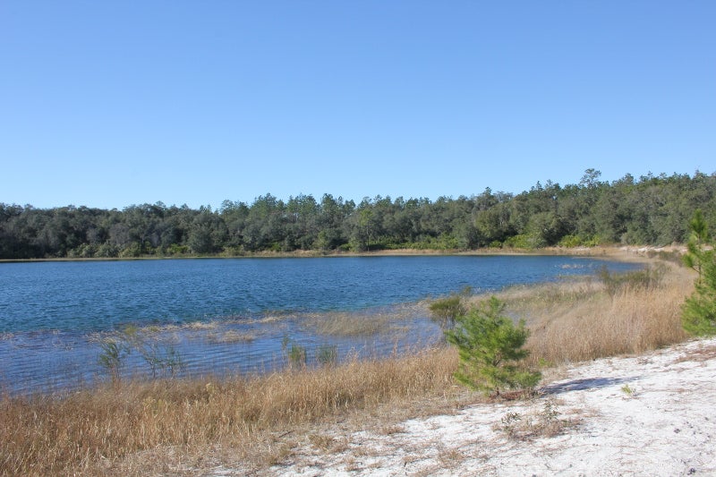 a large blue lake amidst golden grasses and trees